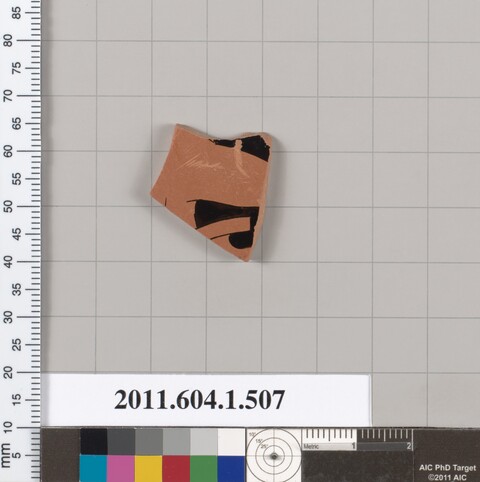 Ancient Pottery Fragment Sample