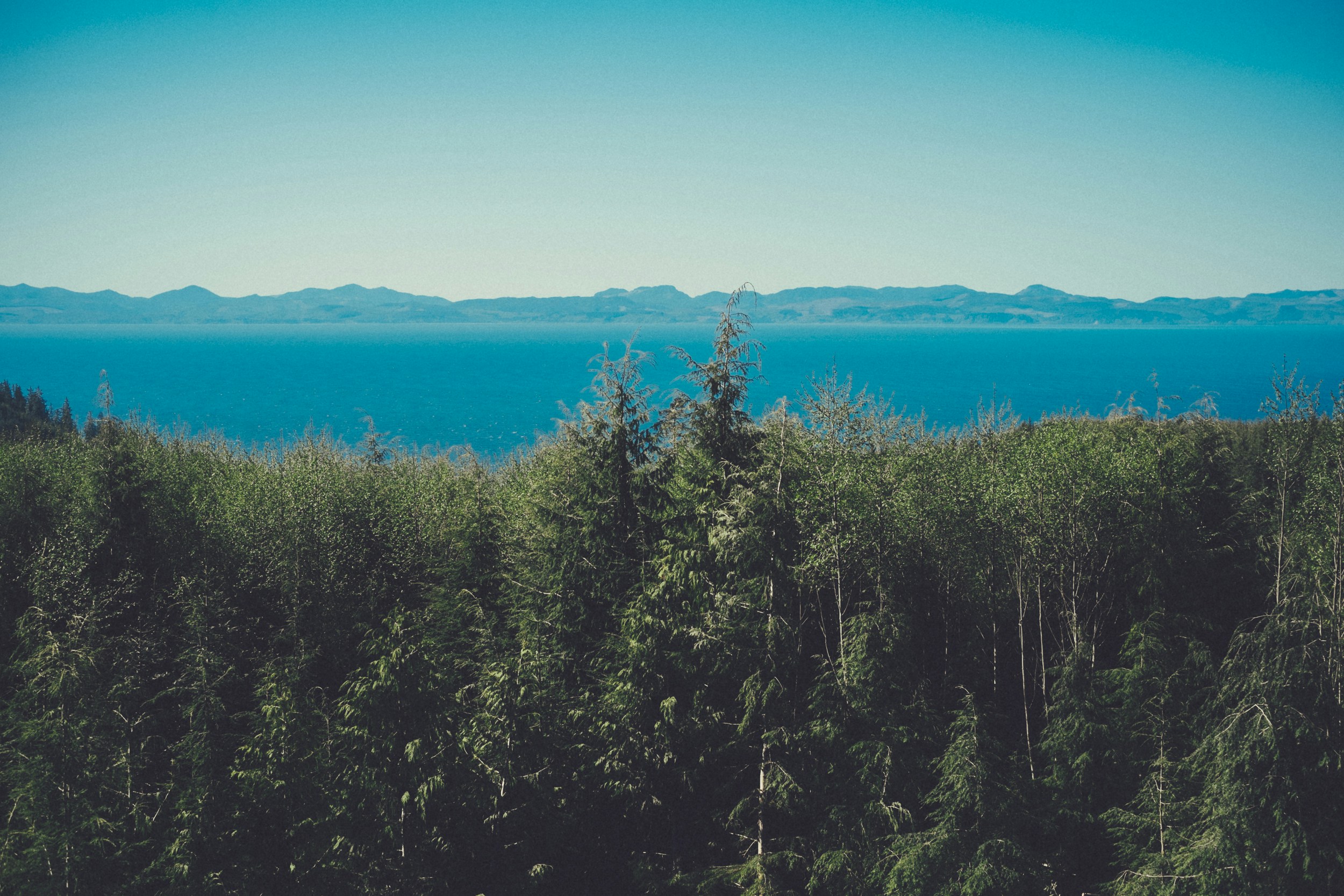 Forest Overlook of Water and Distant Mountains