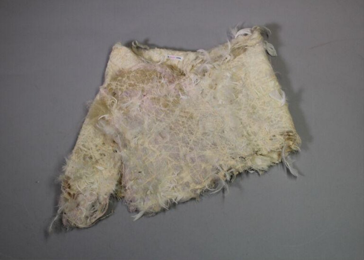 Frayed Ancient Feather Textile Relic