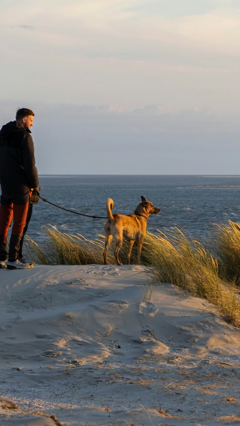 Man And Dog Overlooking Coastal Sea