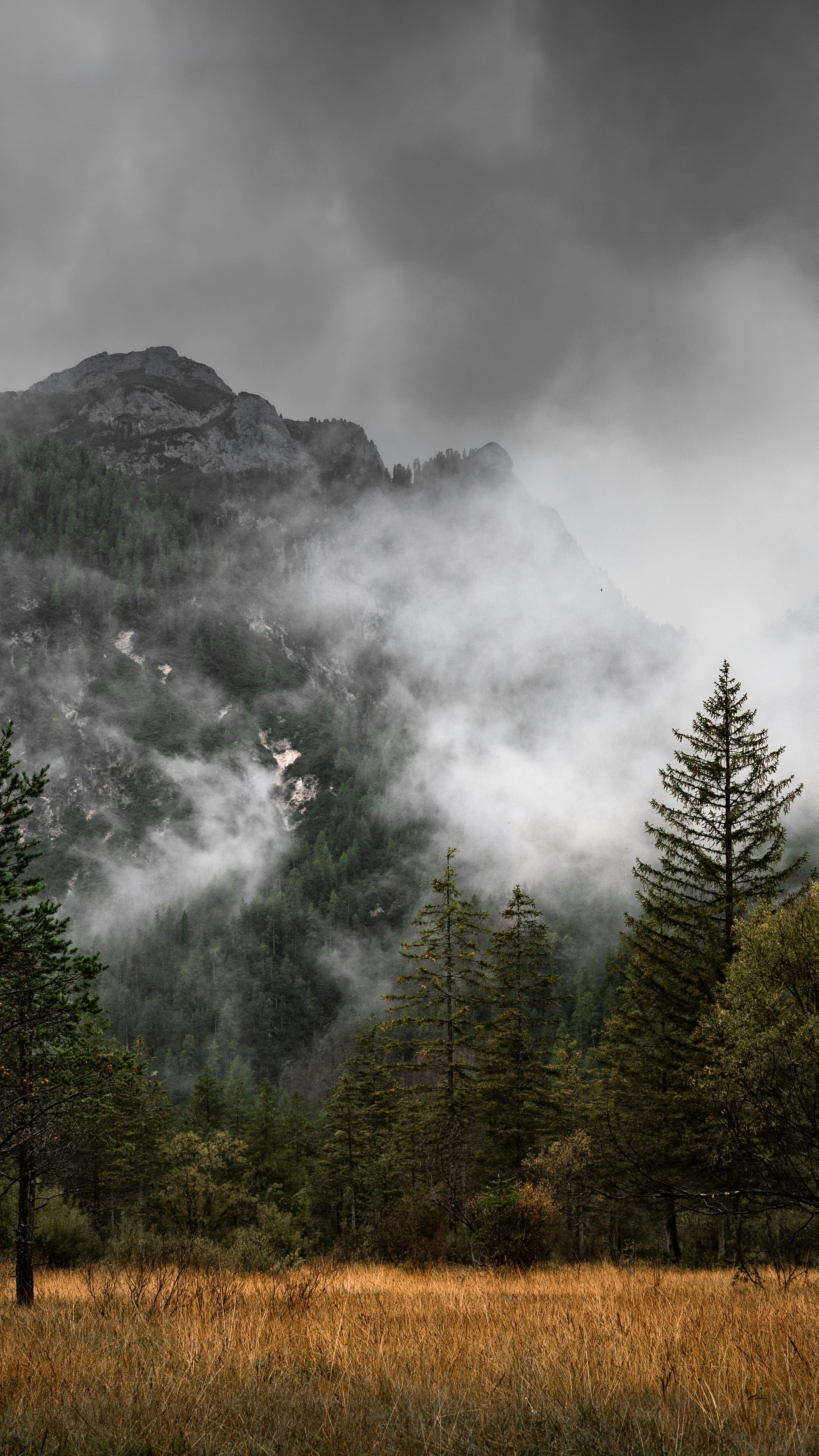 Landscapes