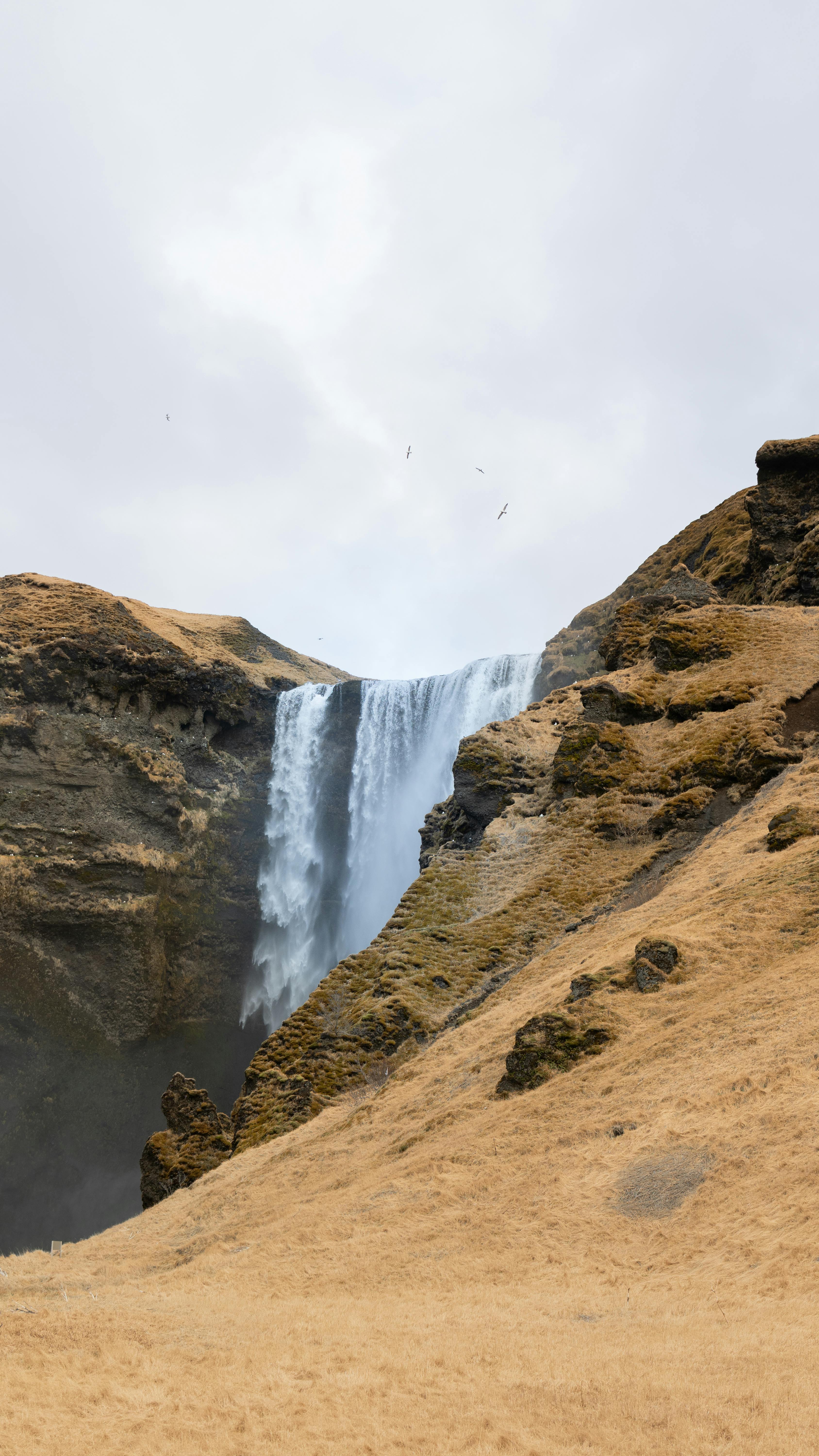Image 1621890 — Backgrounds