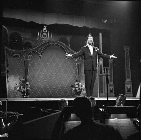Male Vocalist Performing on Stage