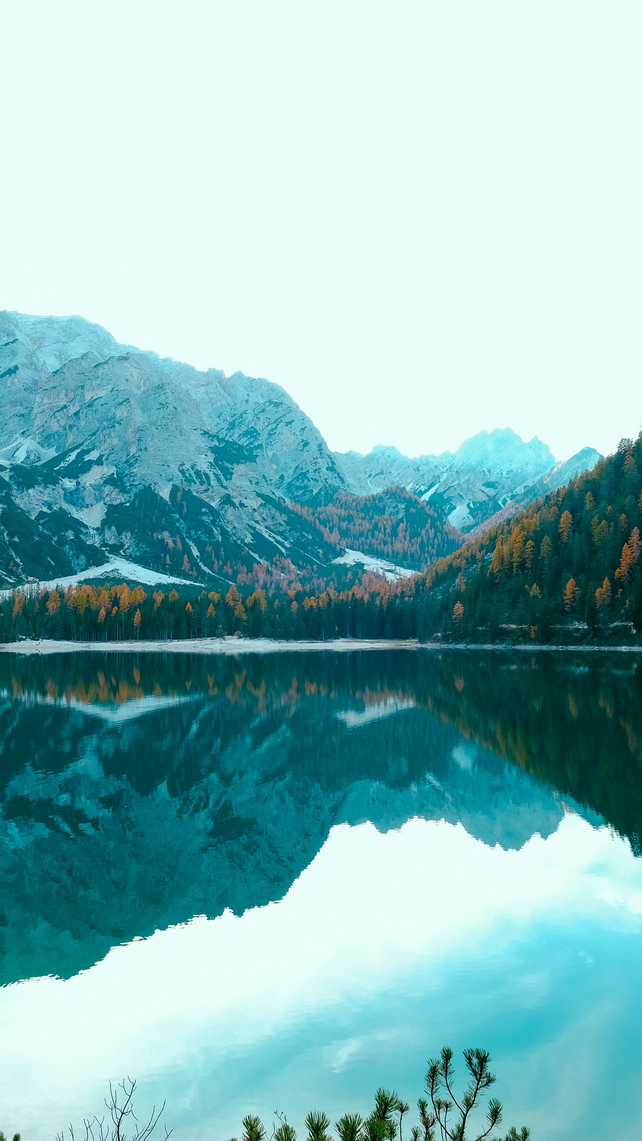 Wallpapers
