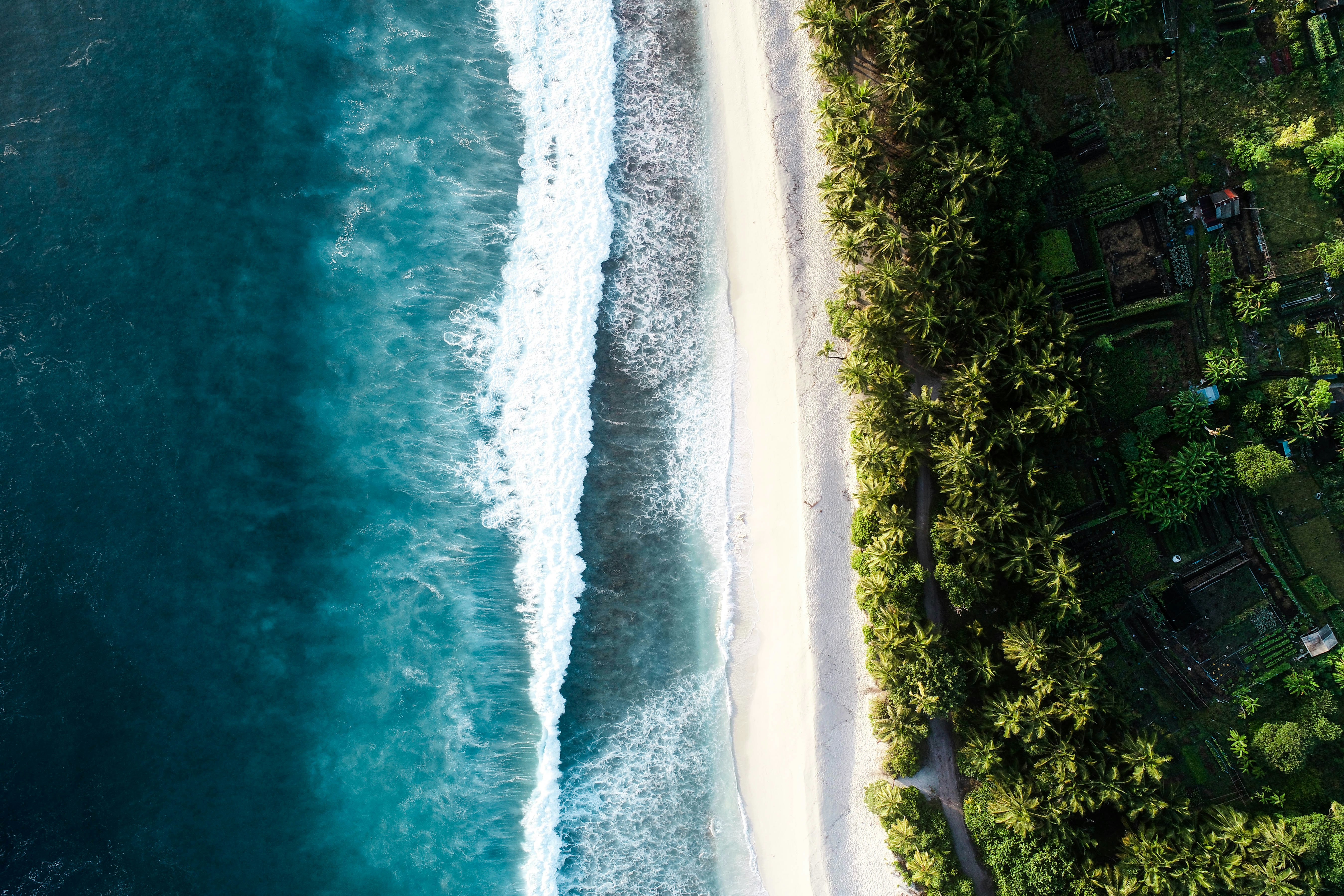 Aerial View of Tropical Beach