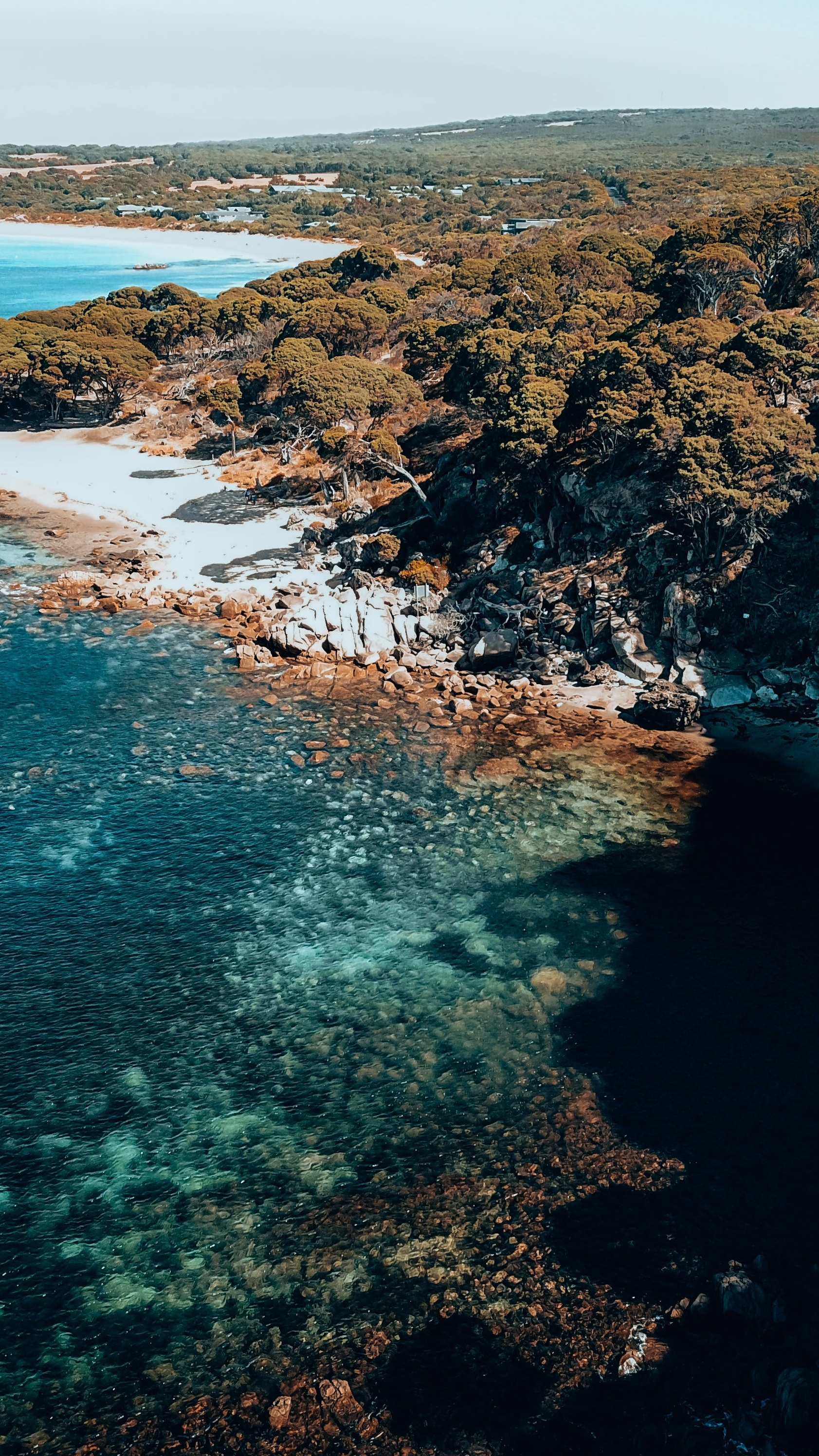 Wallpapers
