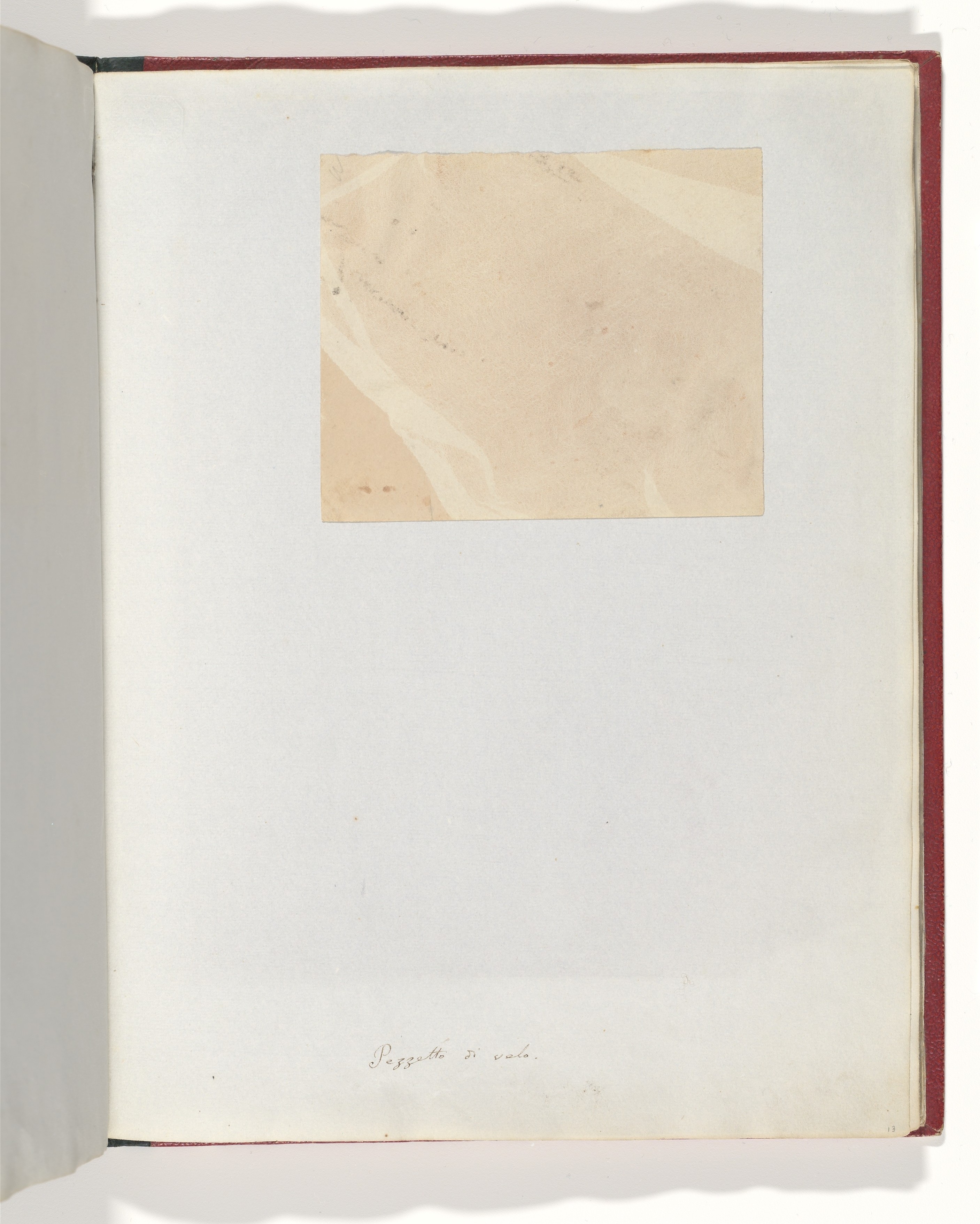 Open Album Page with Feather Specimen