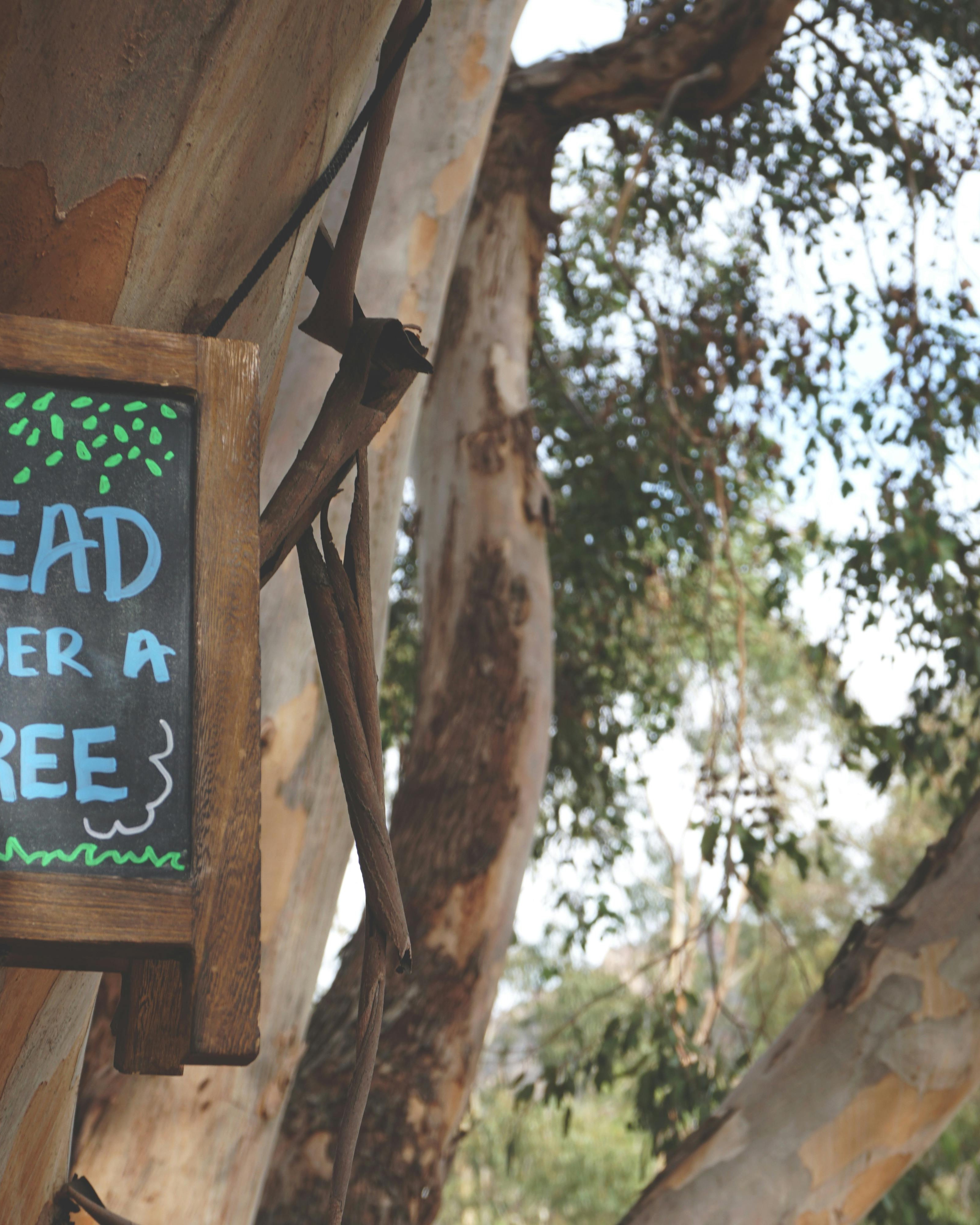 Chalk Sign Hanging On Tree Trunk