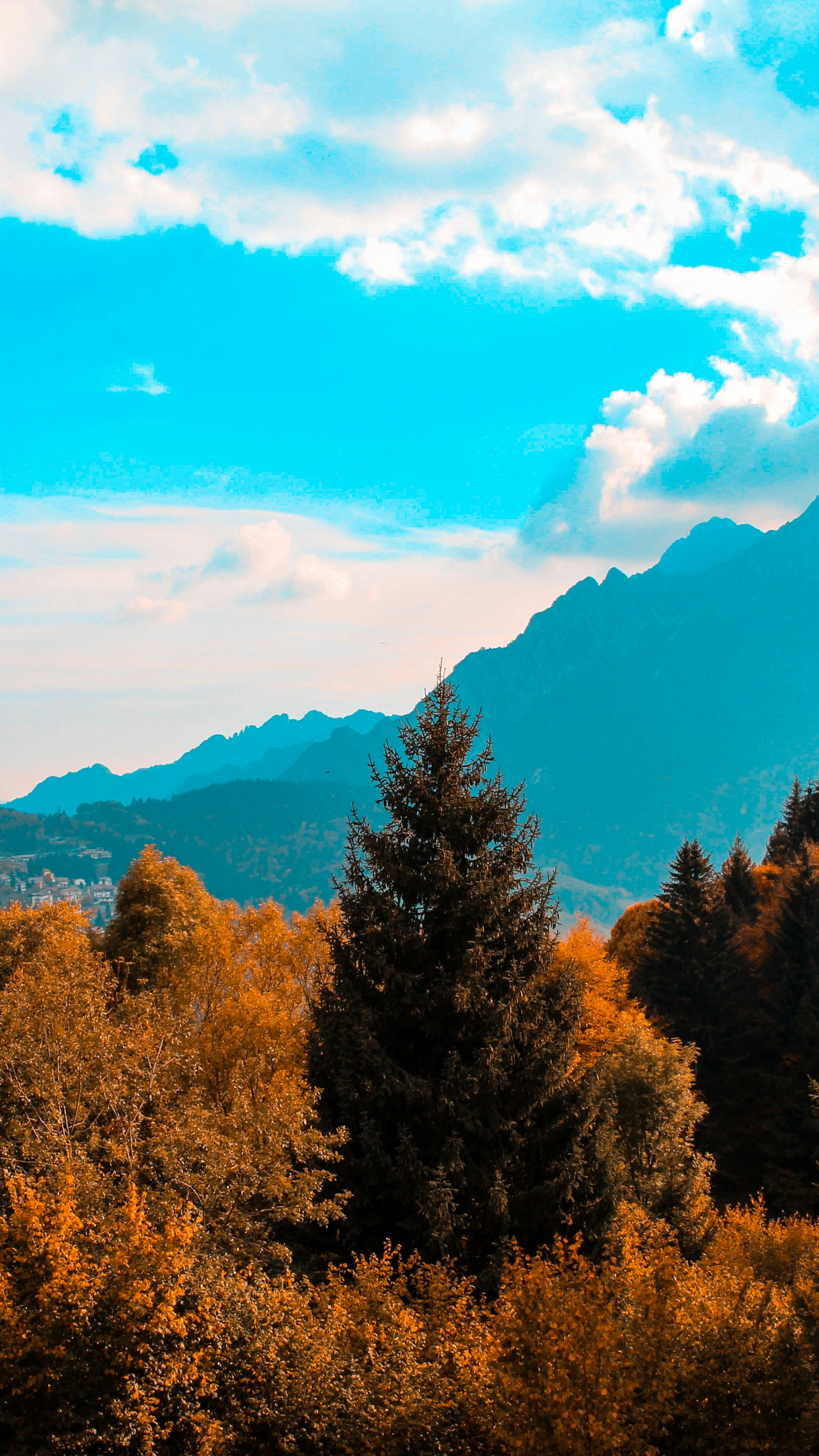 Autumn Mountain Forest Landscape