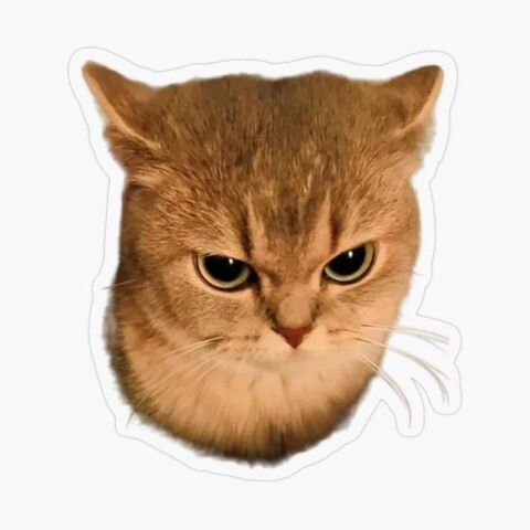 Grumpy Golden Cat Sticker
