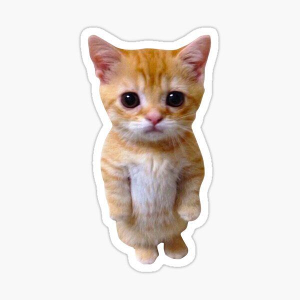 Standing Ginger Kitten Sticker