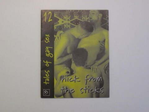 Hick From The Sticks Book Cover