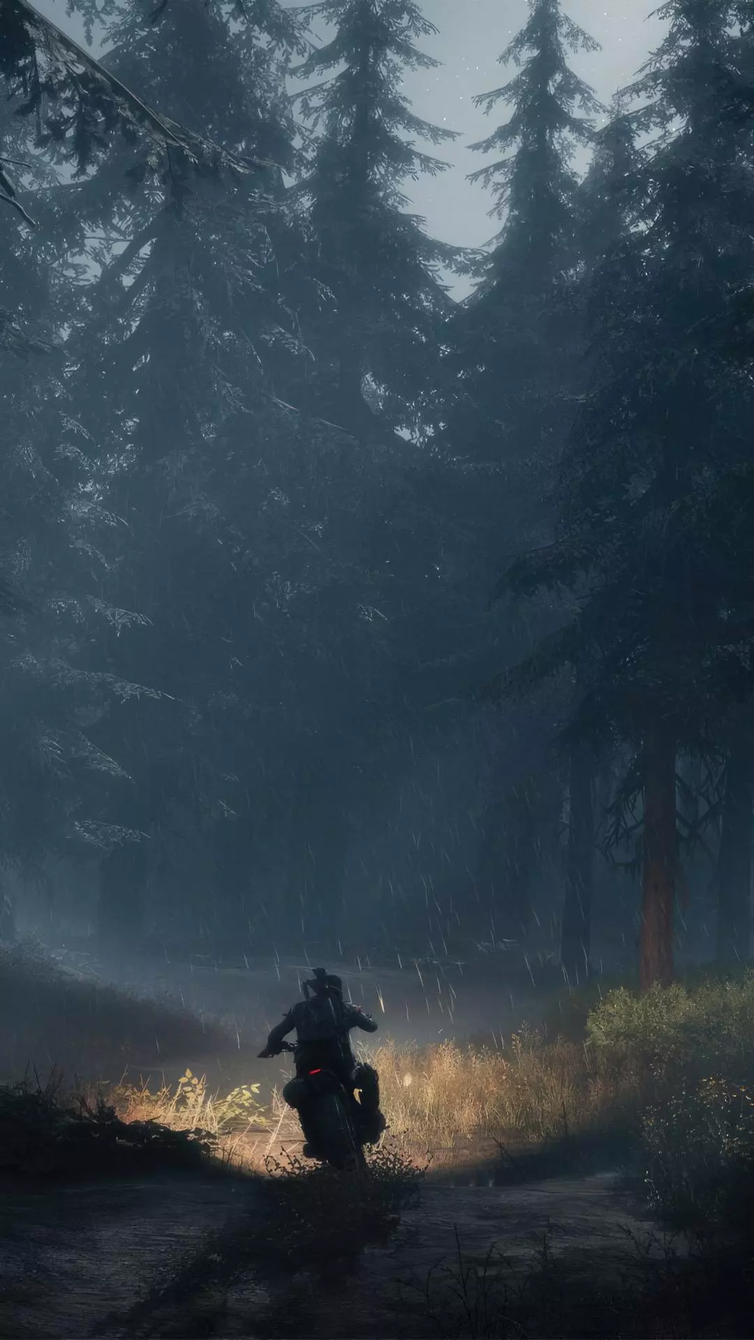 Wallpapers