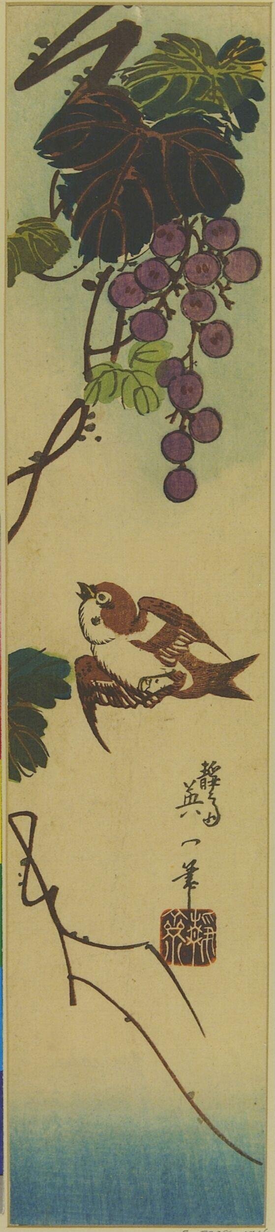 Sparrow and Grapevine Japanese Print