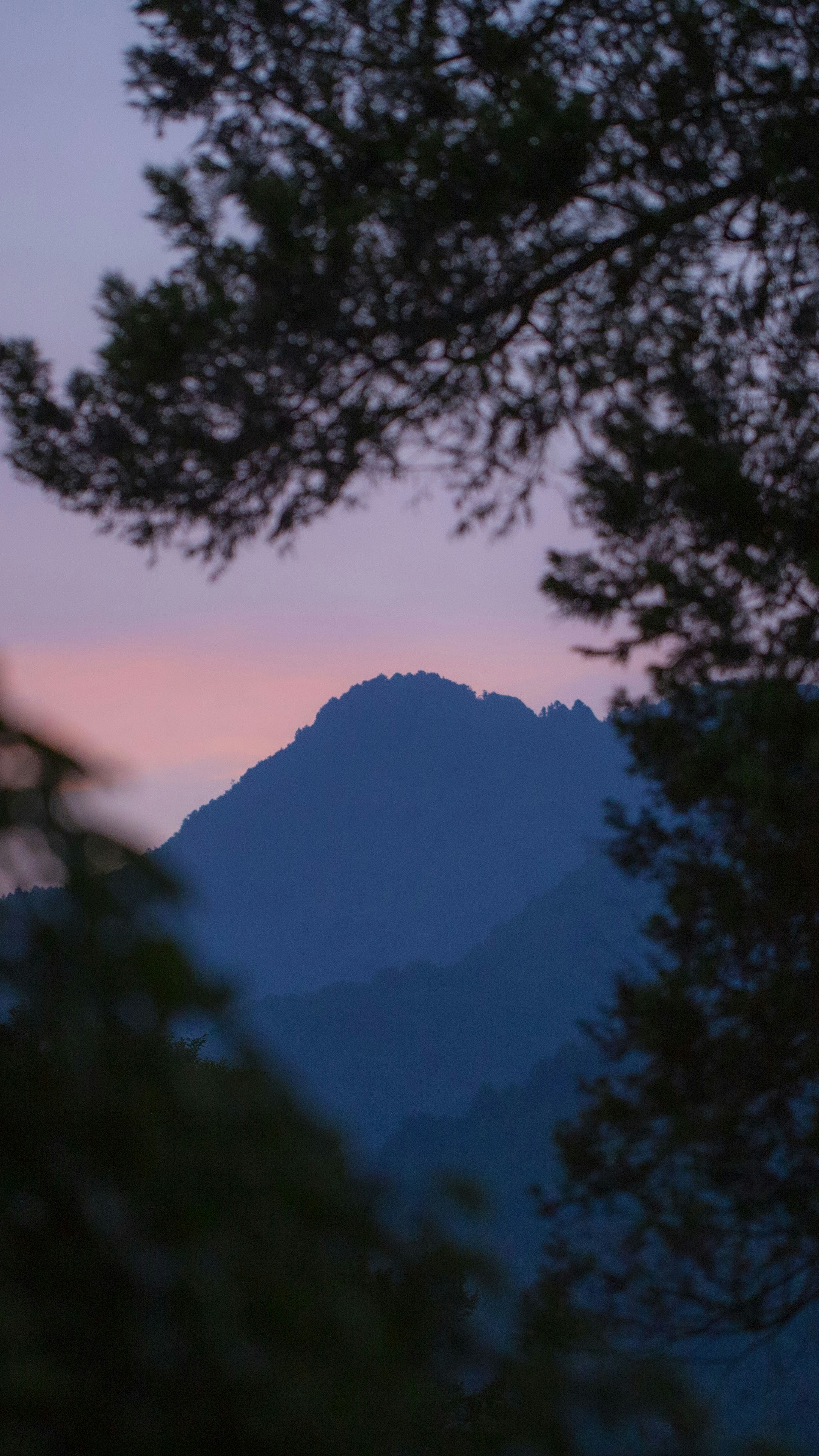 Landscapes