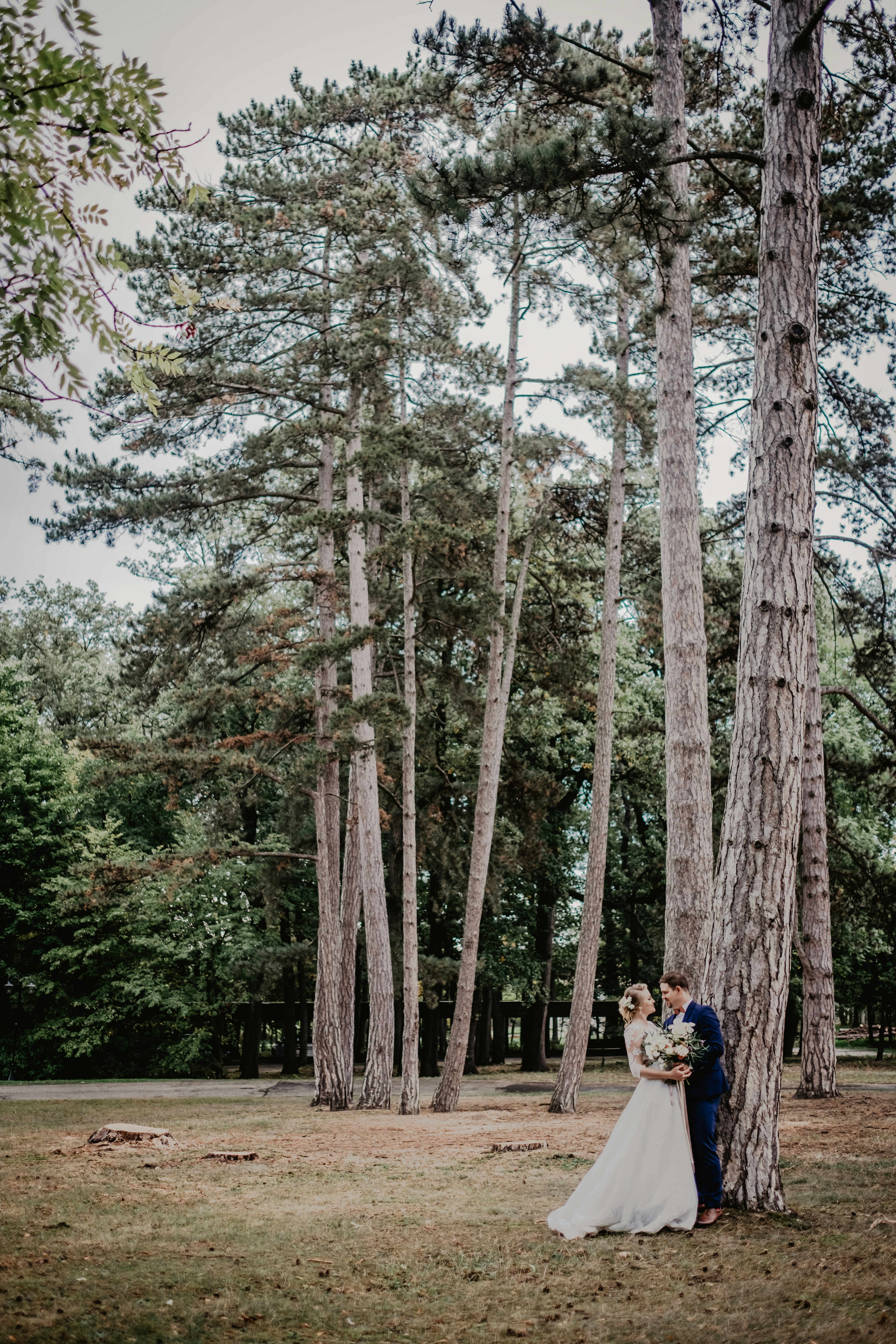 Bridal Couple Among Tall Pine Trees