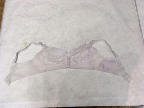 Light Pink Lace Bra