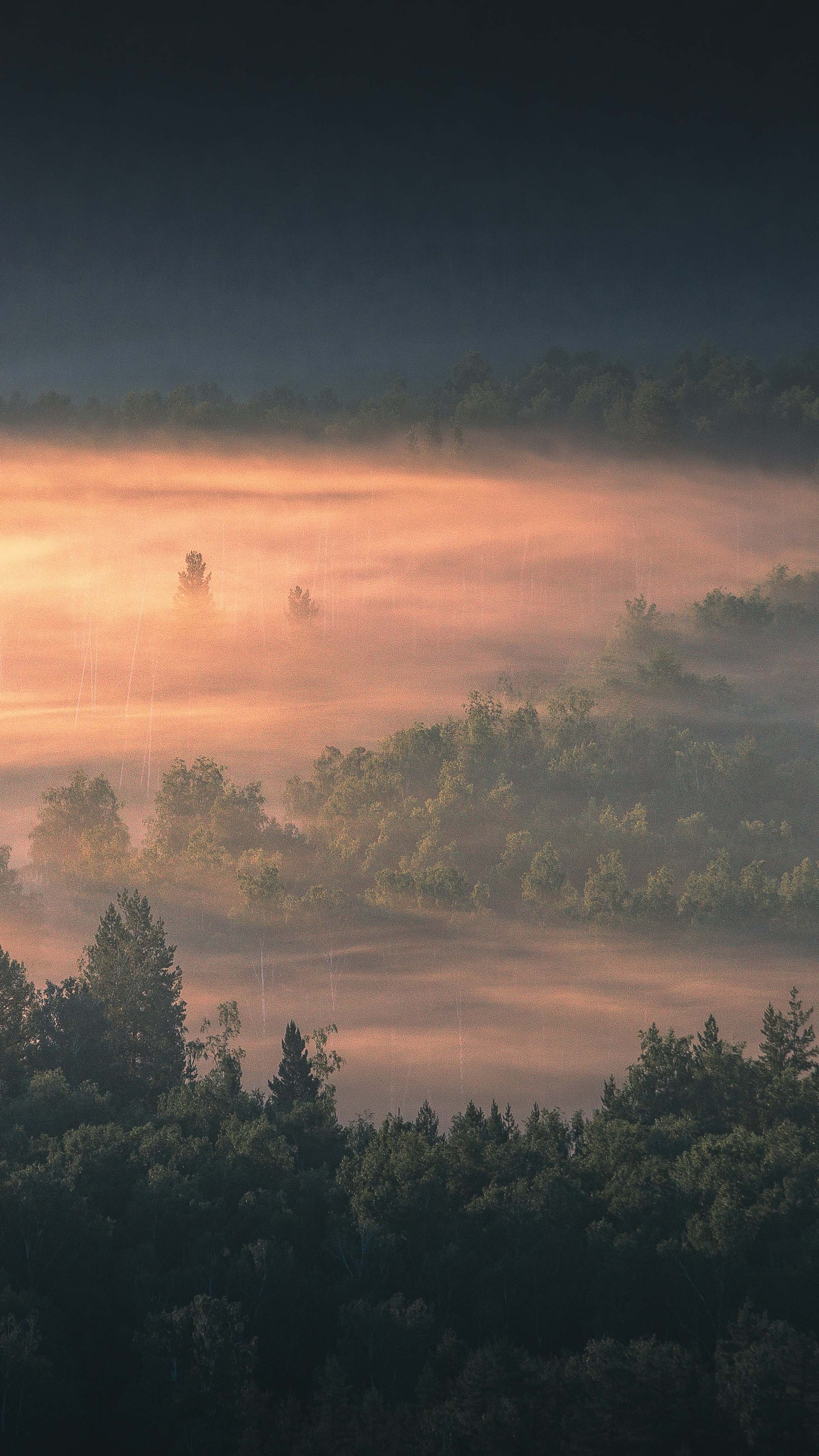 Landscapes