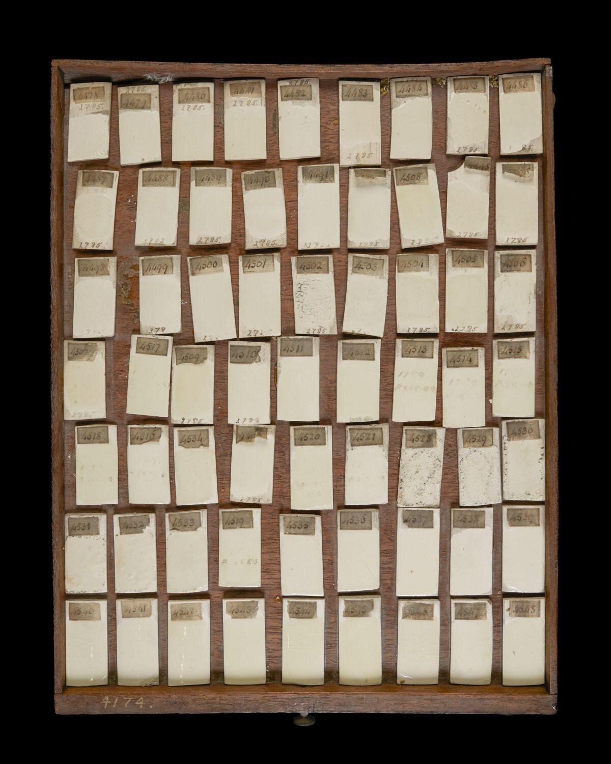 Wooden Drawer of Numbered Microscope Slides