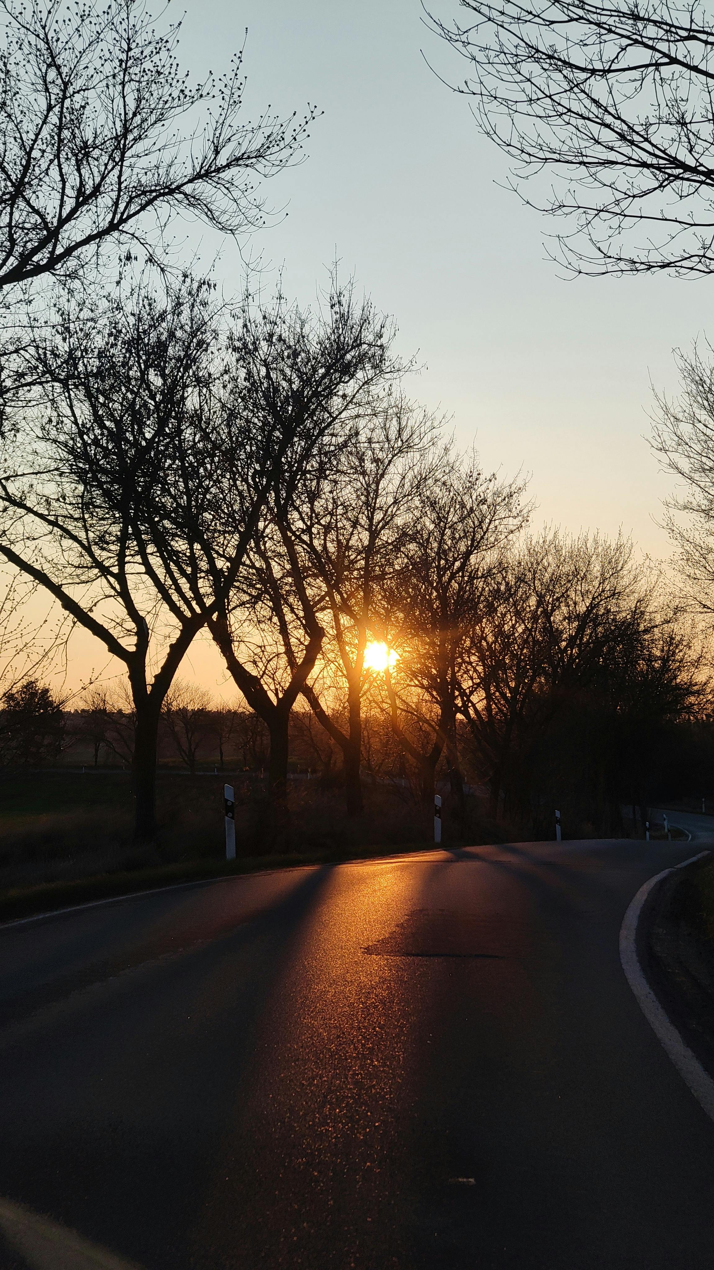 Sunset Along Winding Rural Road