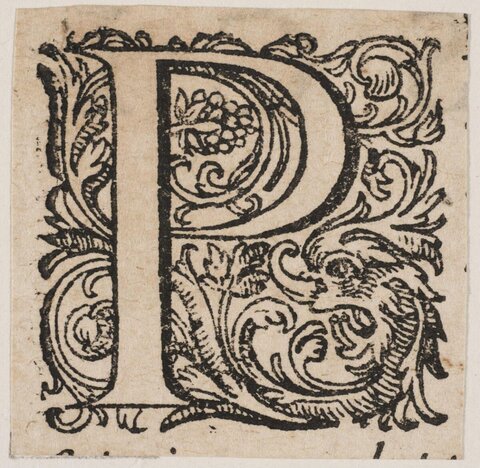 Ornate Woodcut Initial Letter P