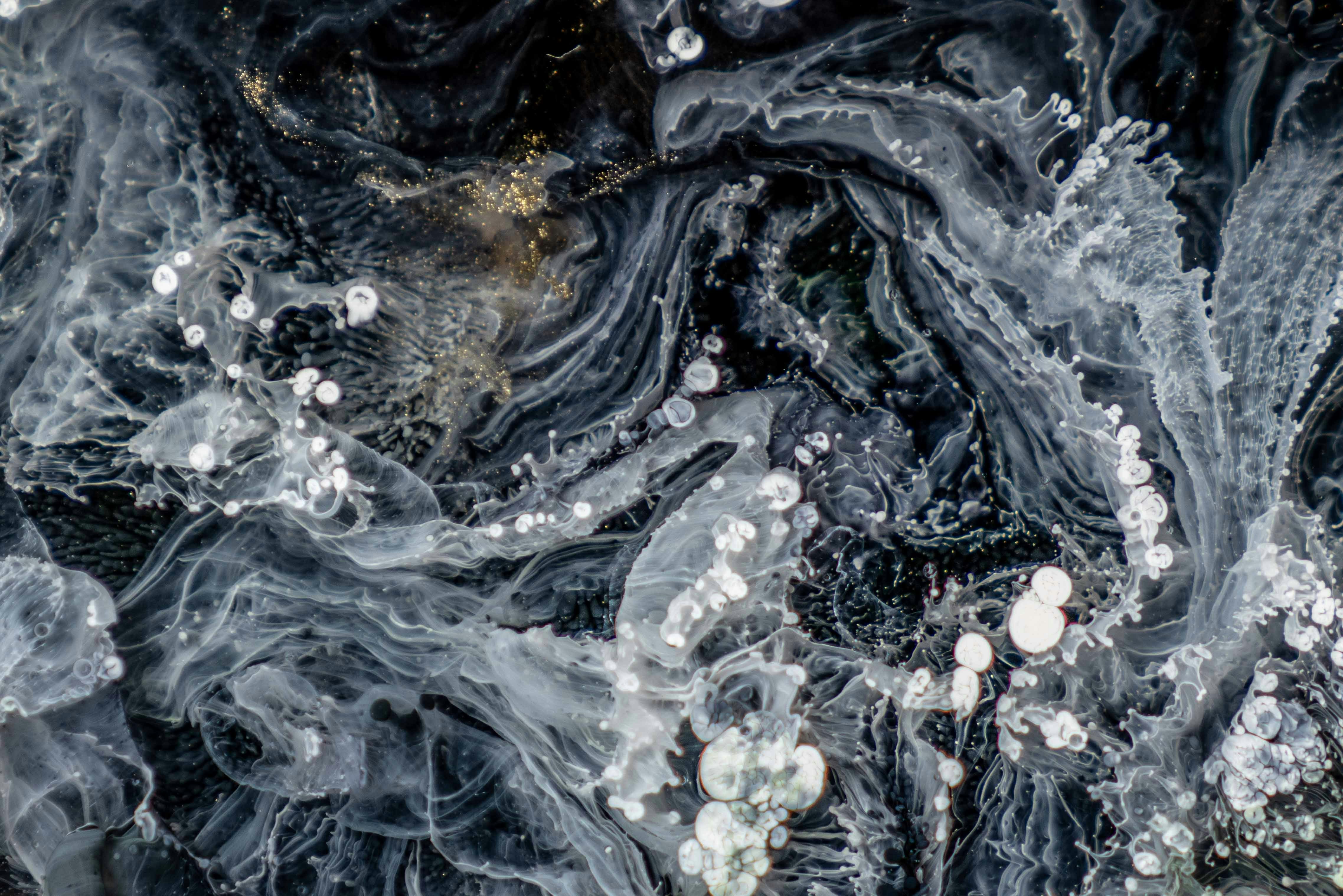 Black White Gold Abstract Fluid Art