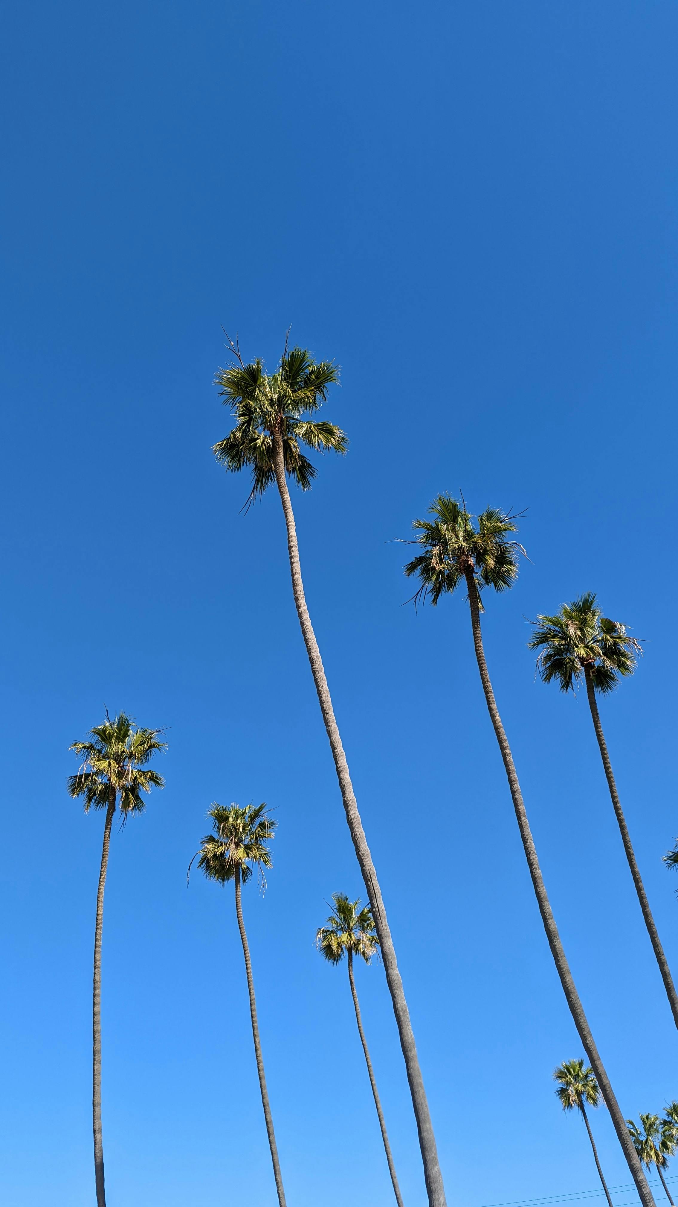 Wallpapers