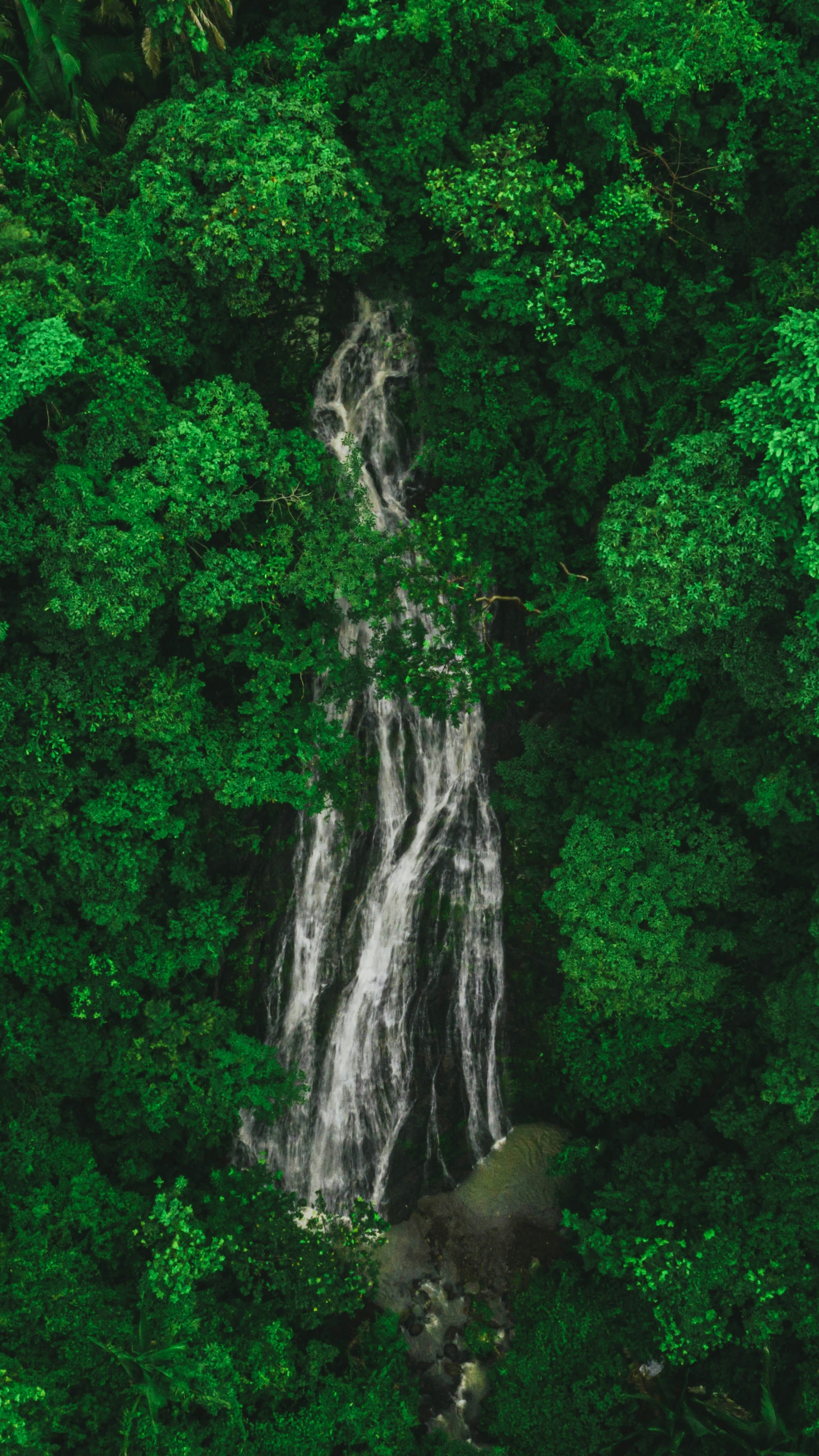 Wallpapers