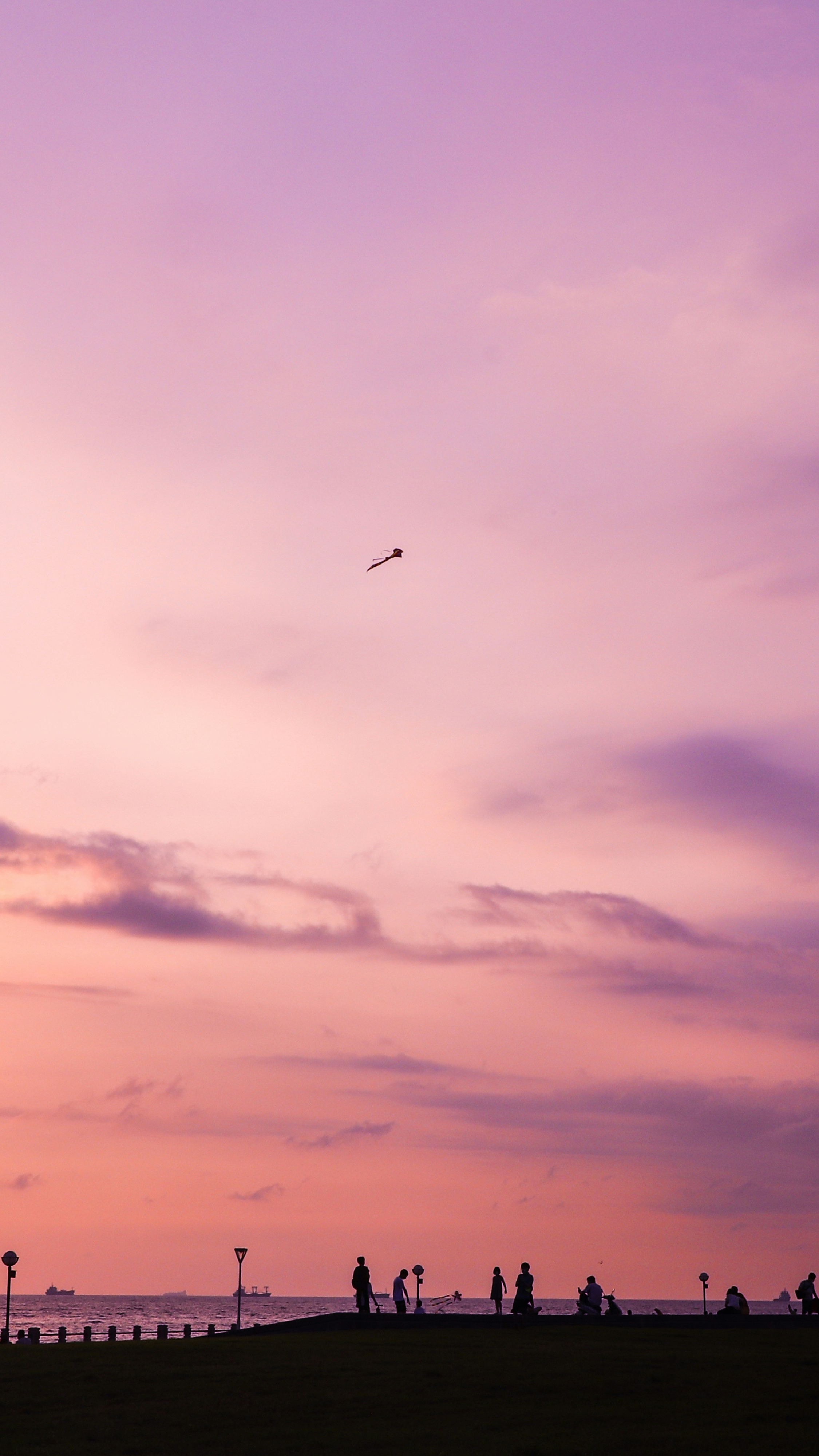 Wallpapers