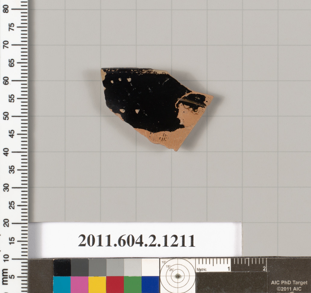 Ancient Pottery Shard Artifact