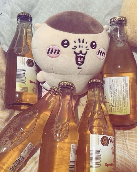 Plush Toy Surrounded by Sparkling Juice Bottles