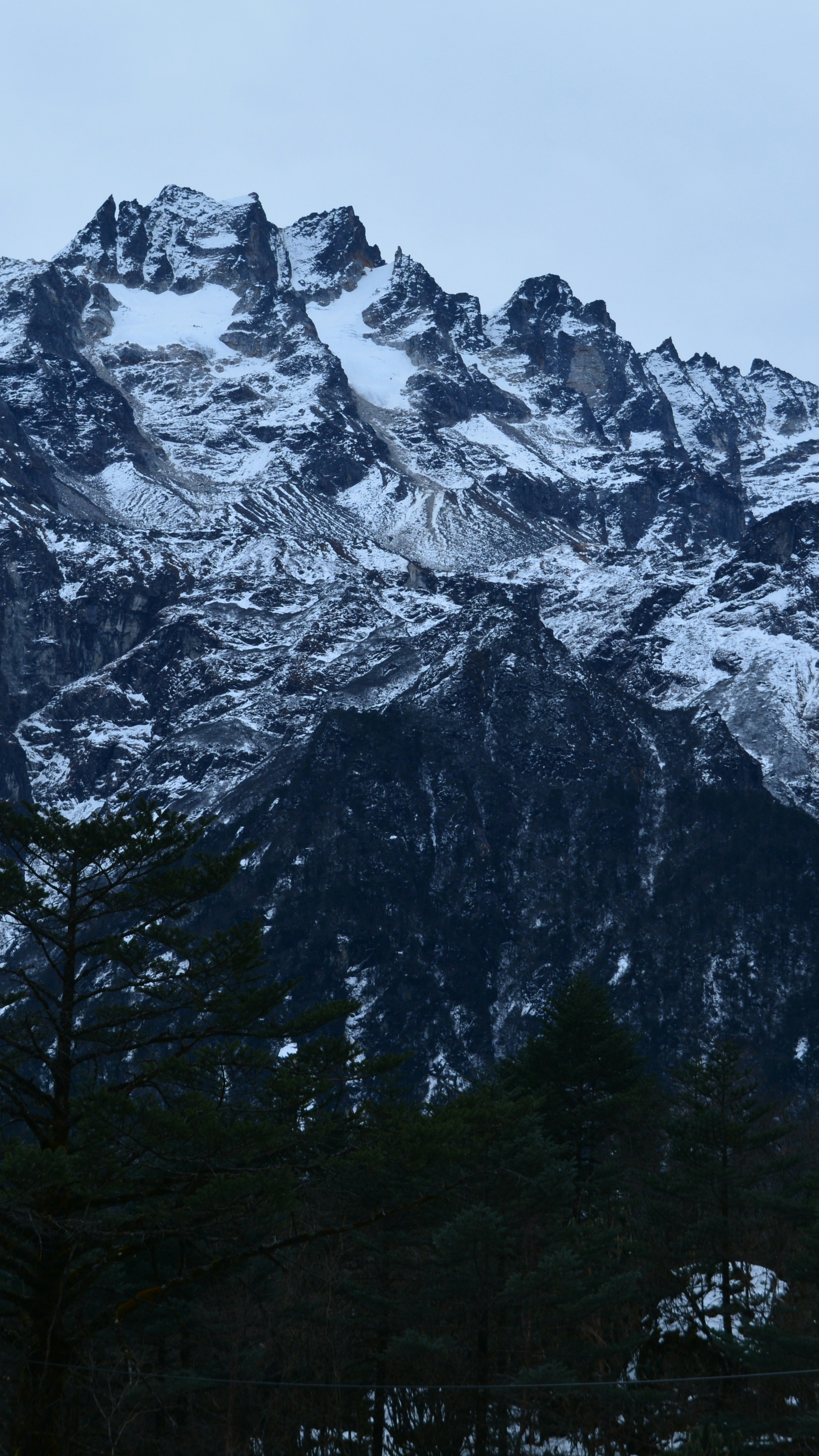 Wallpapers