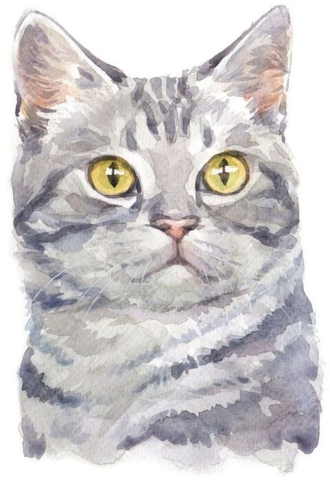 Watercolor Gray Tabby Cat Portrait