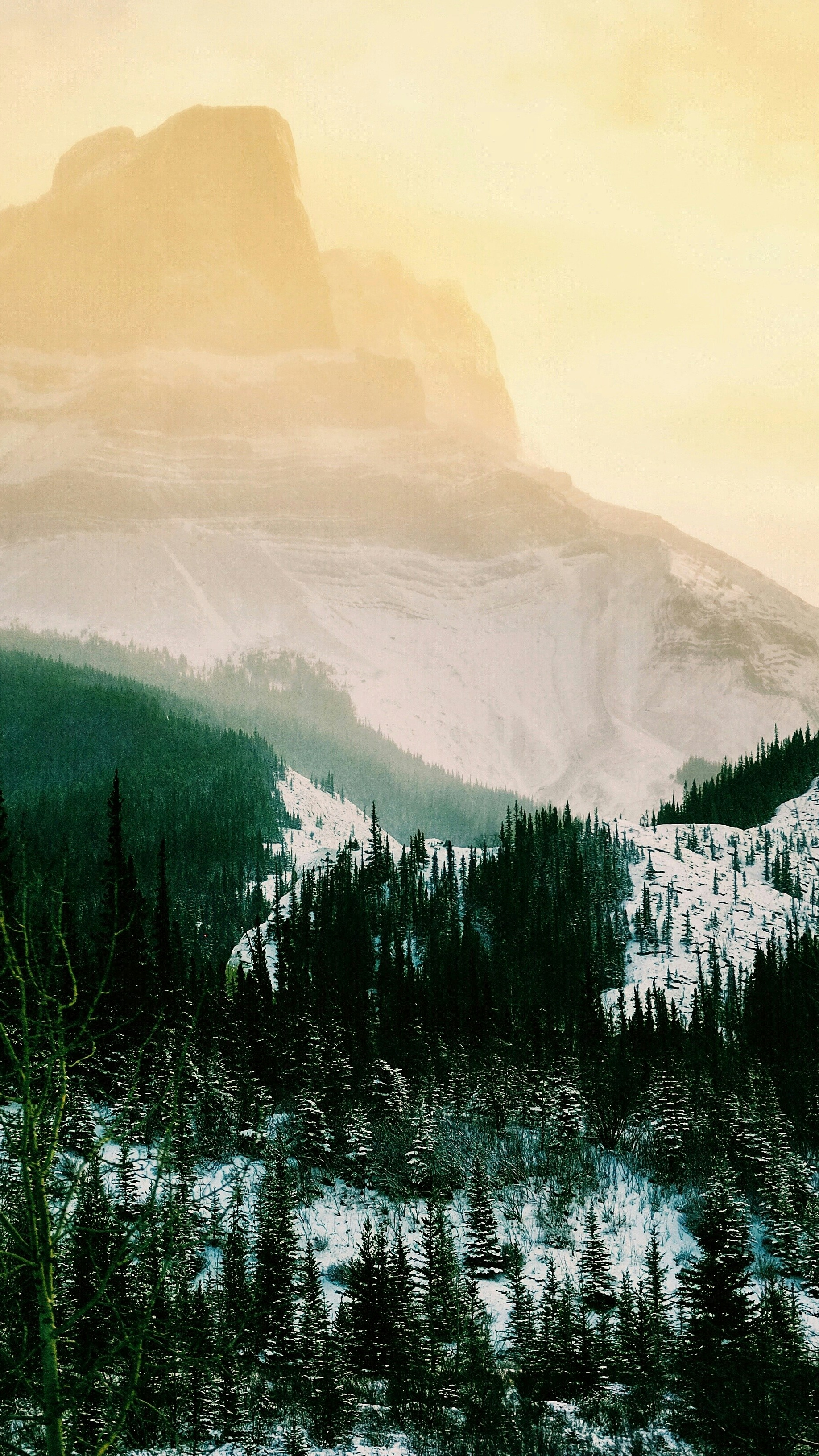 Wallpapers