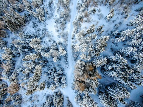 Aerial View of Snowy Forest Road
