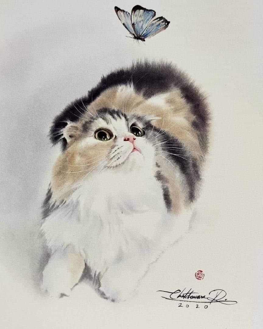 Fluffy Kitten Watching Butterfly
