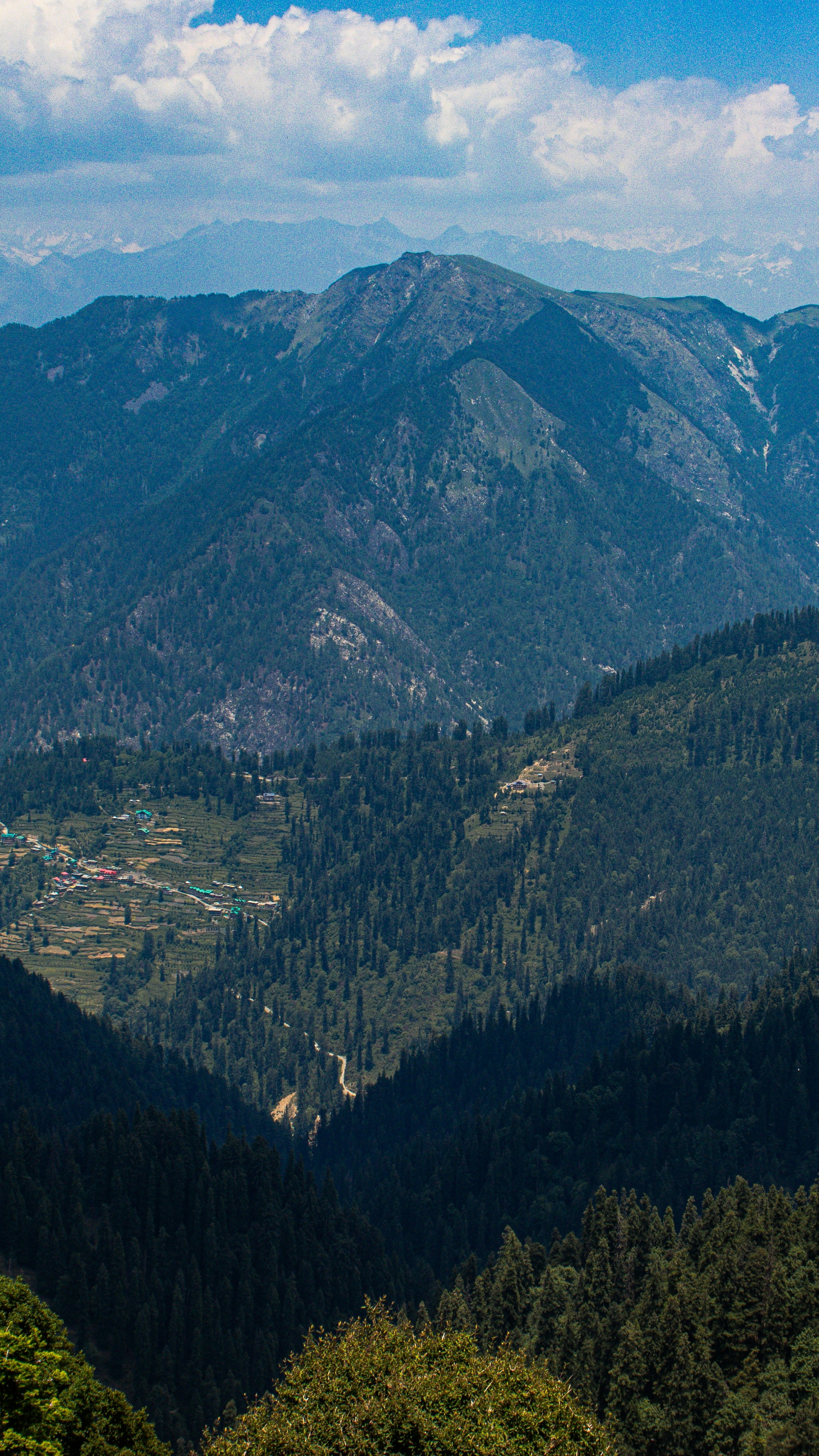 Landscapes