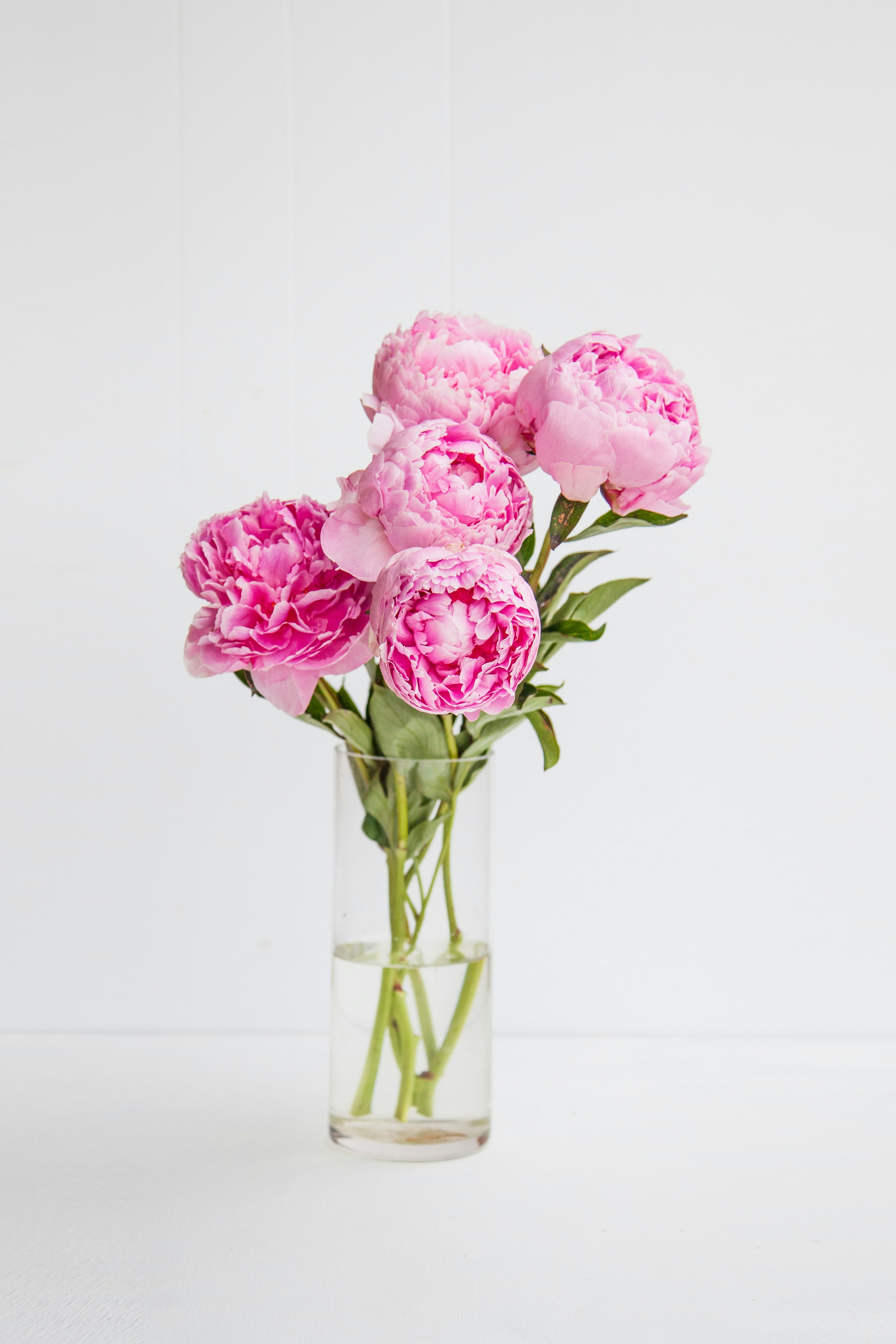 Pink Peonies in Glass Vase