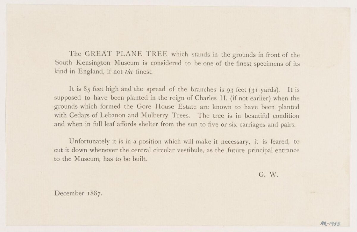 1887 Notice About Great Plane Tree