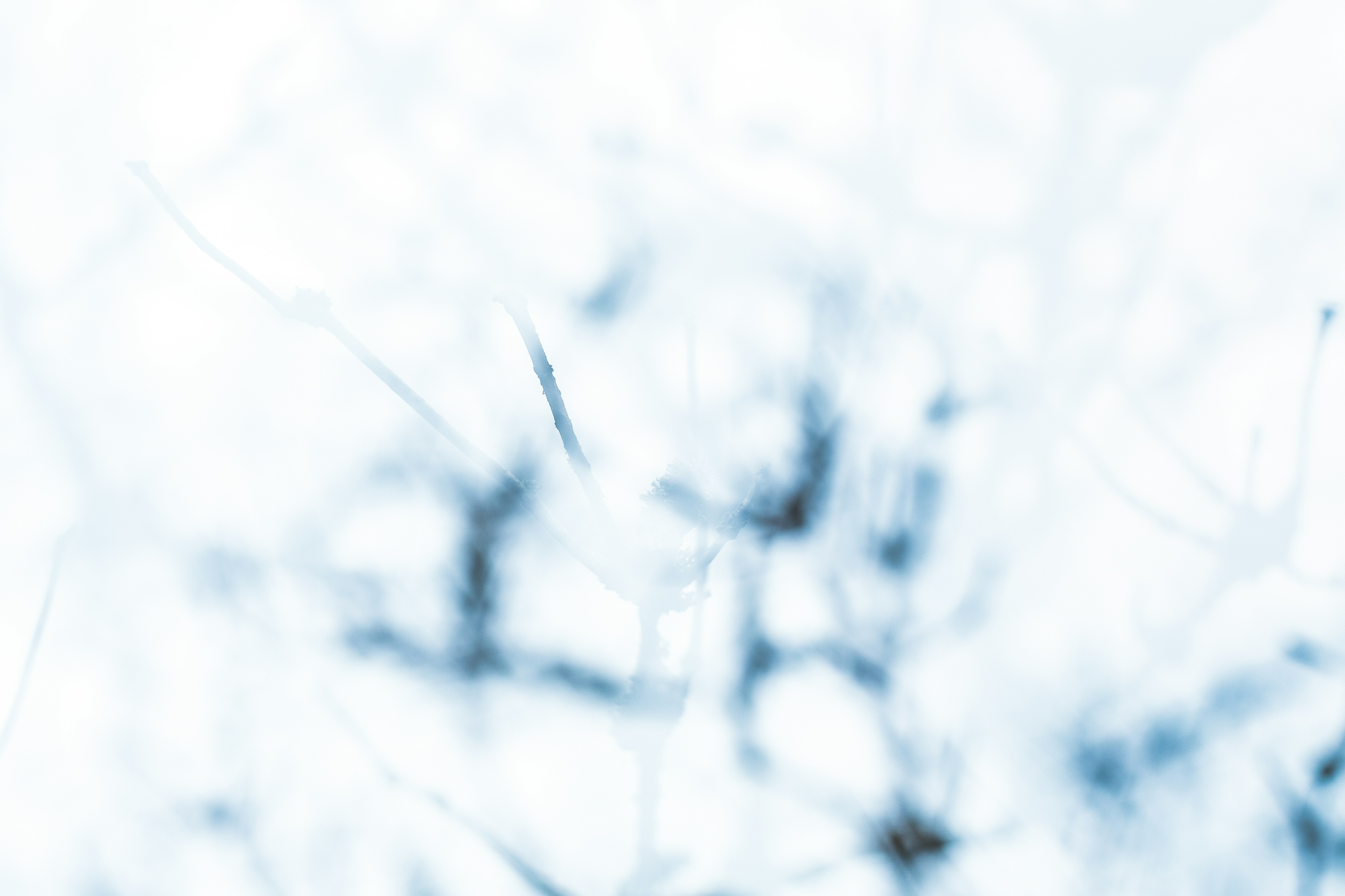 Light Blue Abstract Ink Splatter