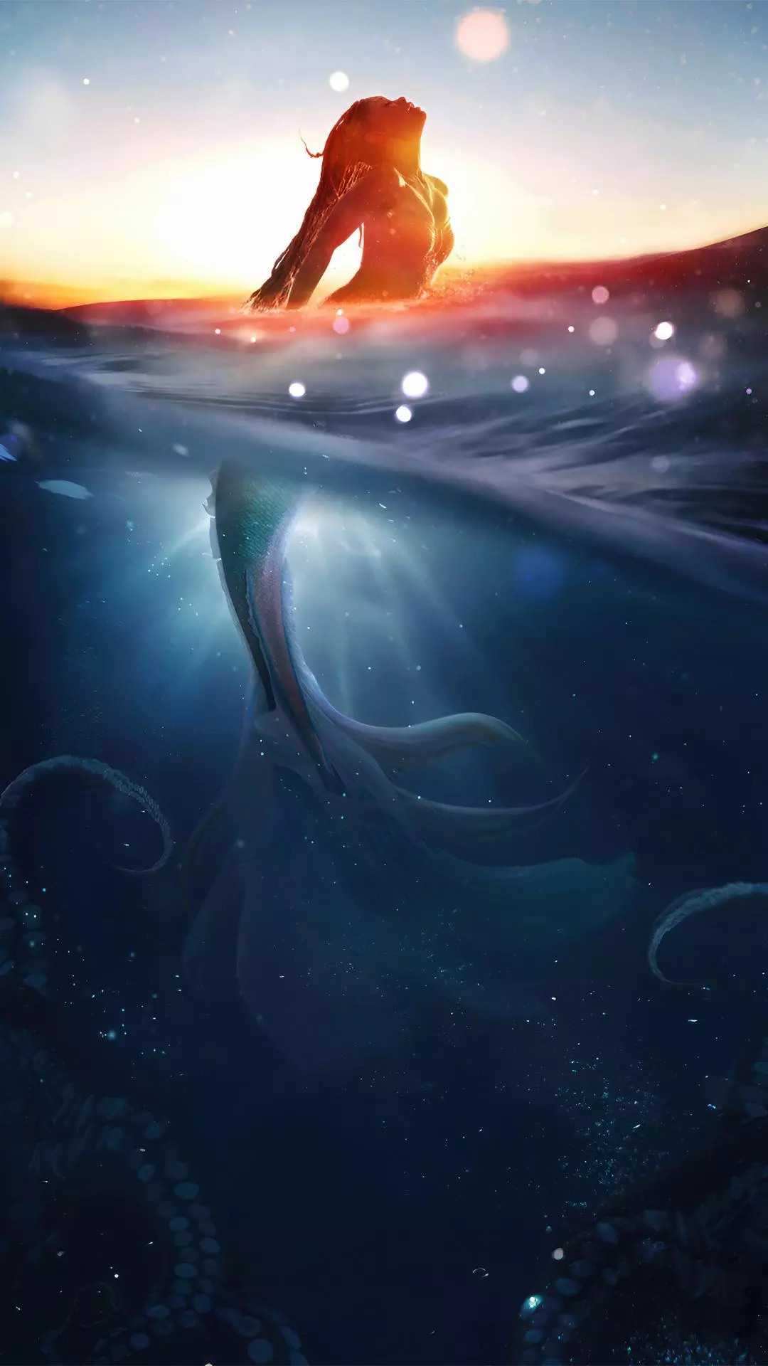 Wallpapers