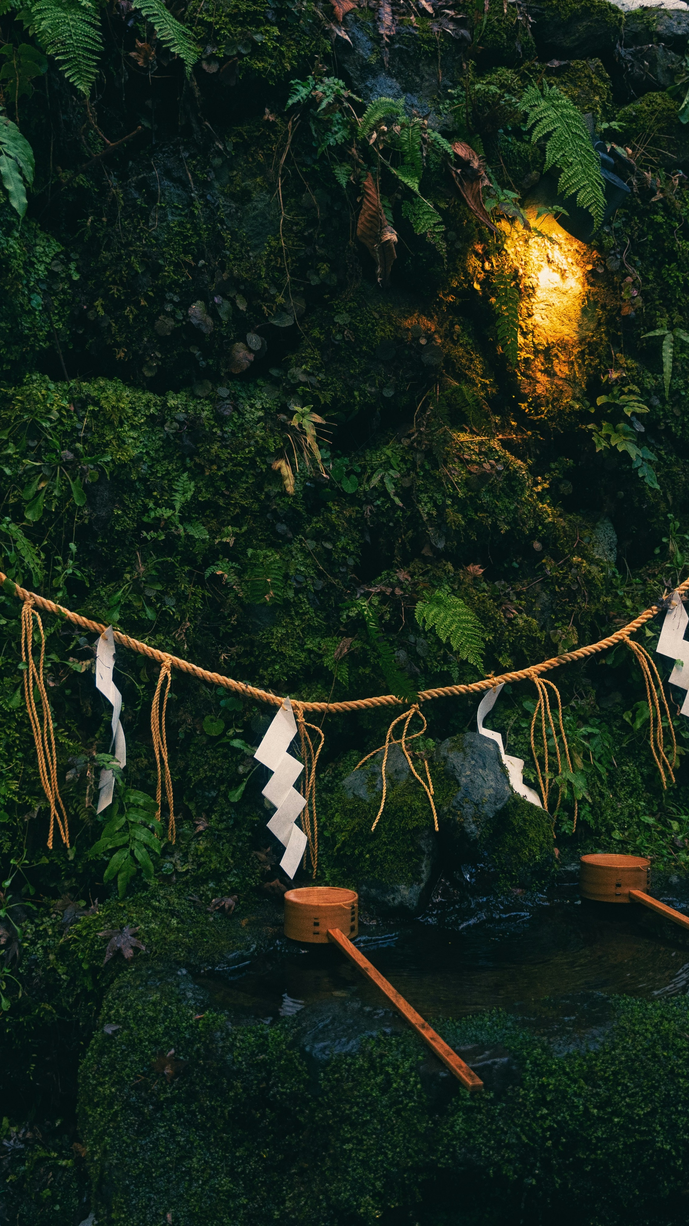Forest & Flora