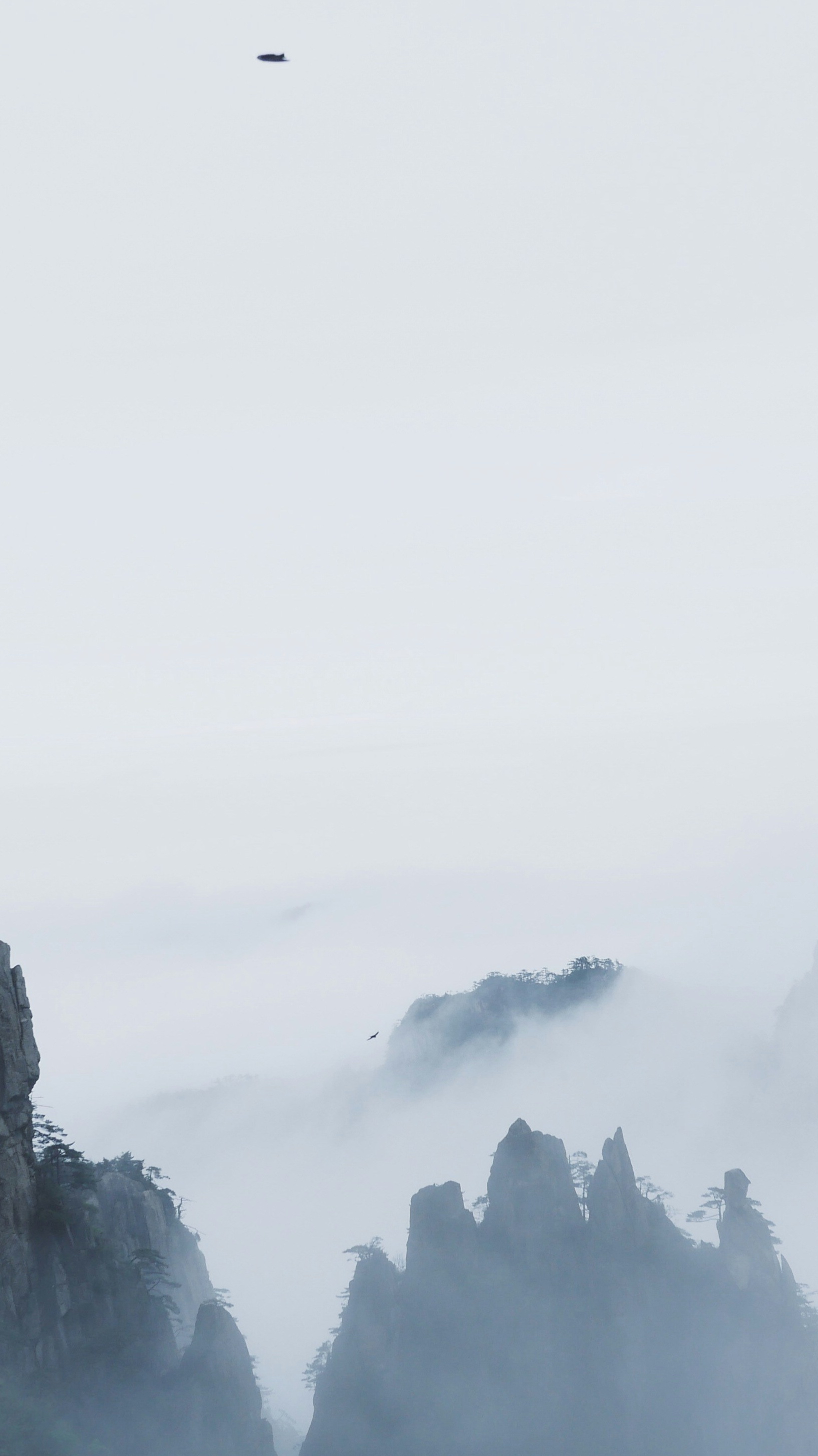 Landscapes