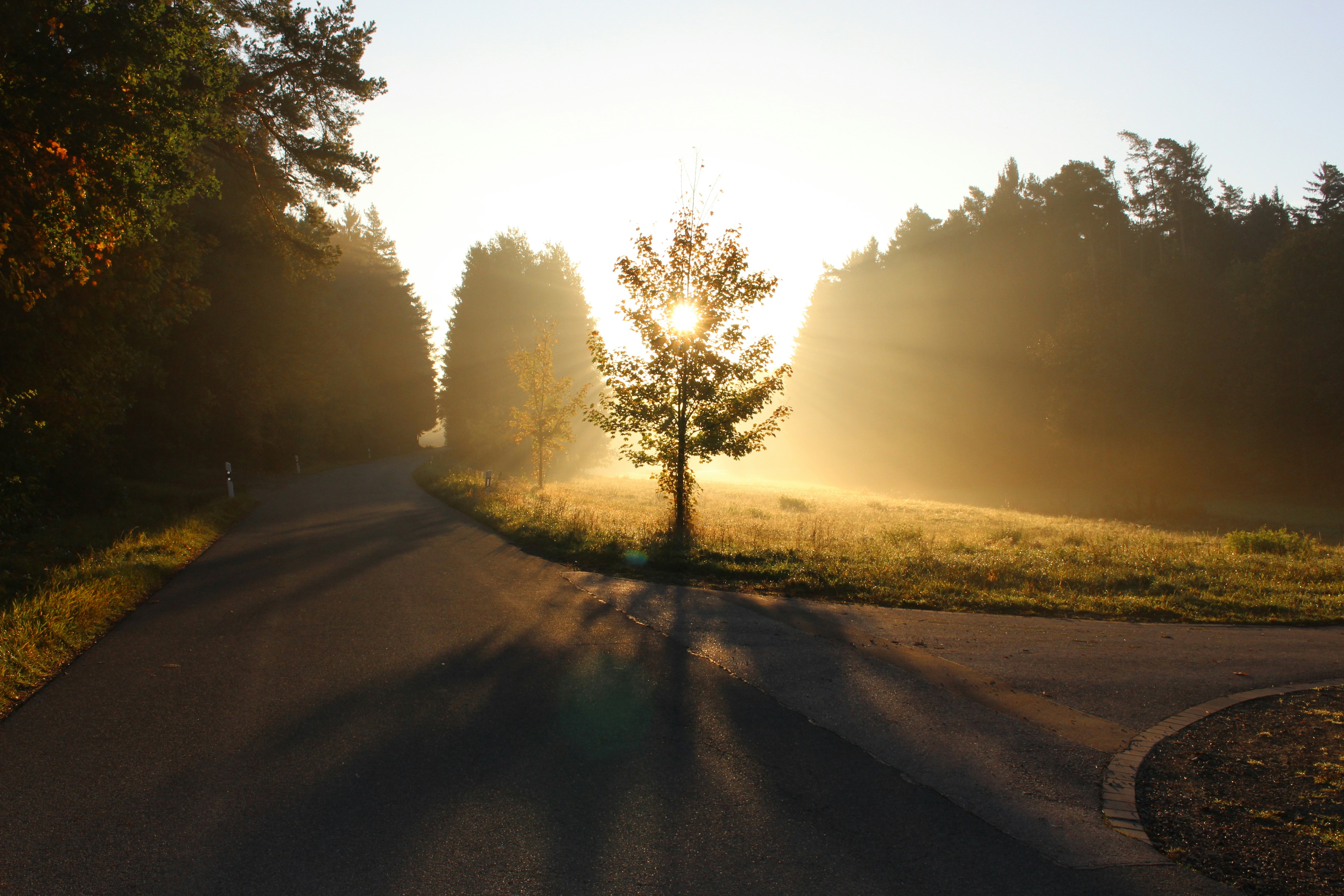 Sunrise at Forest Road Intersection