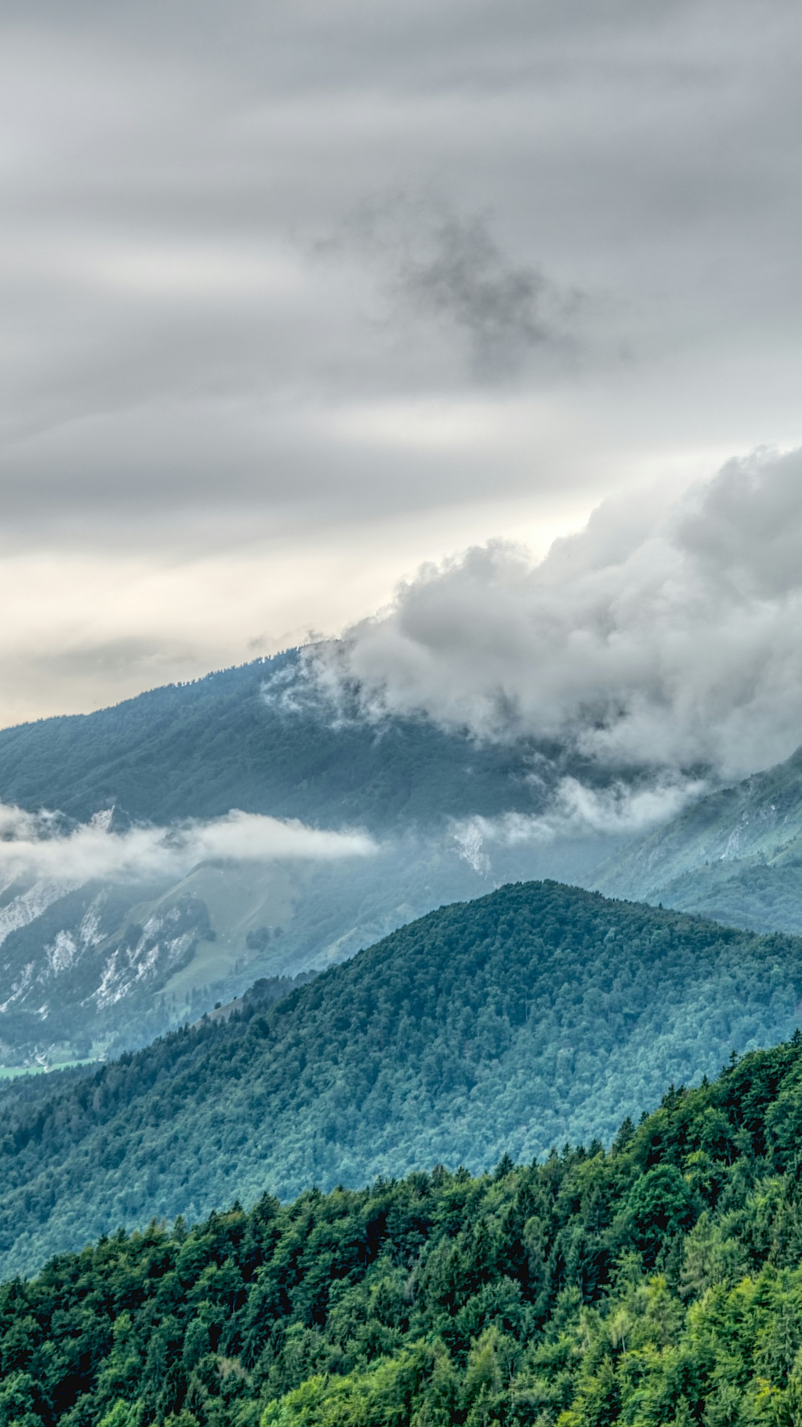 Landscapes