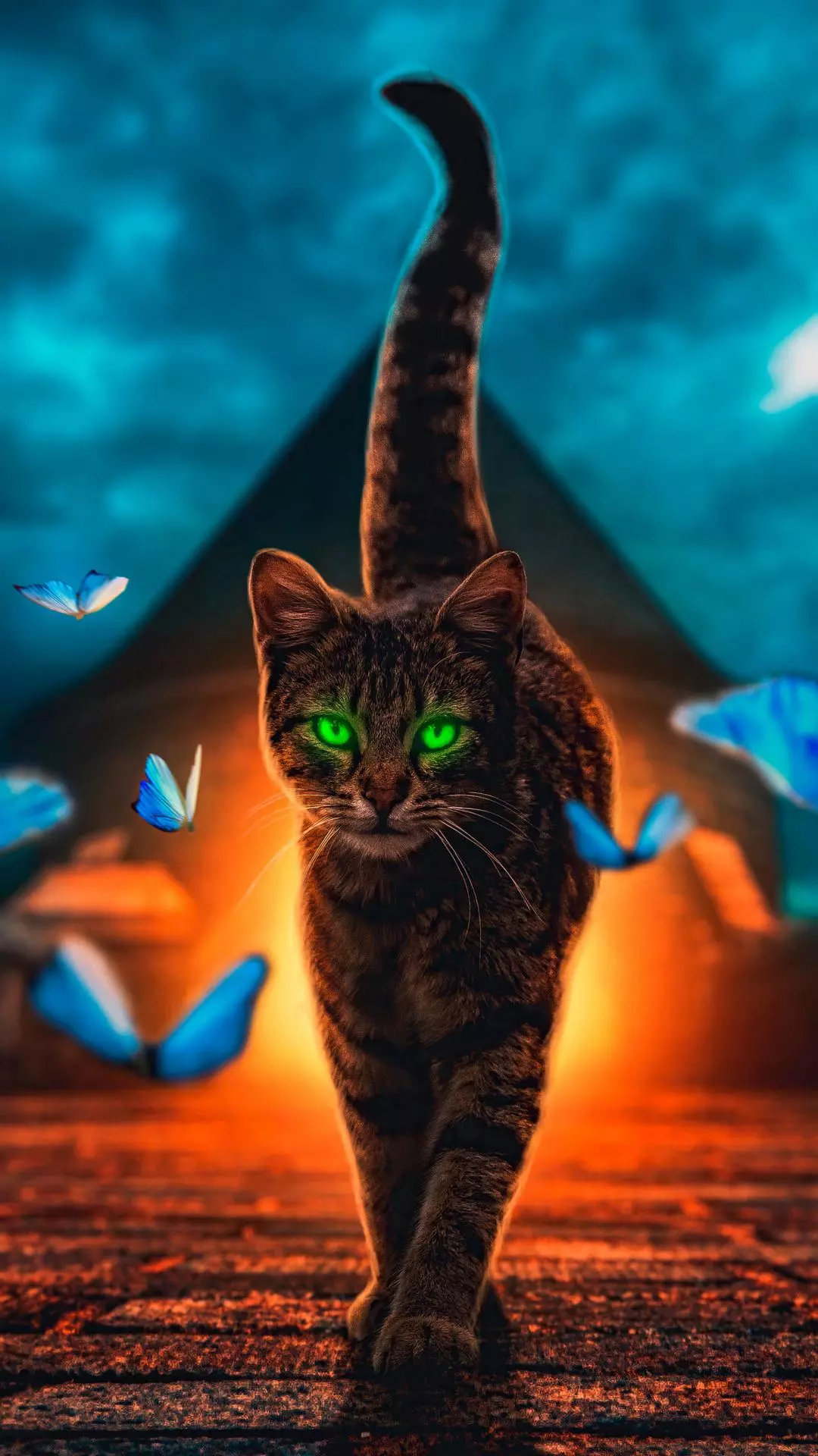 Wallpapers