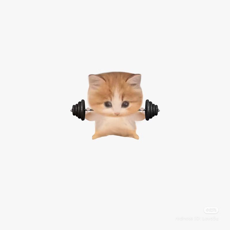 Cute Kitten Lifting Weights