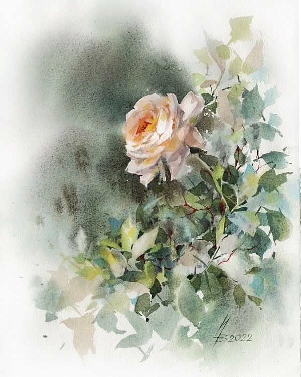 Pale Peach Rose Watercolor Painting