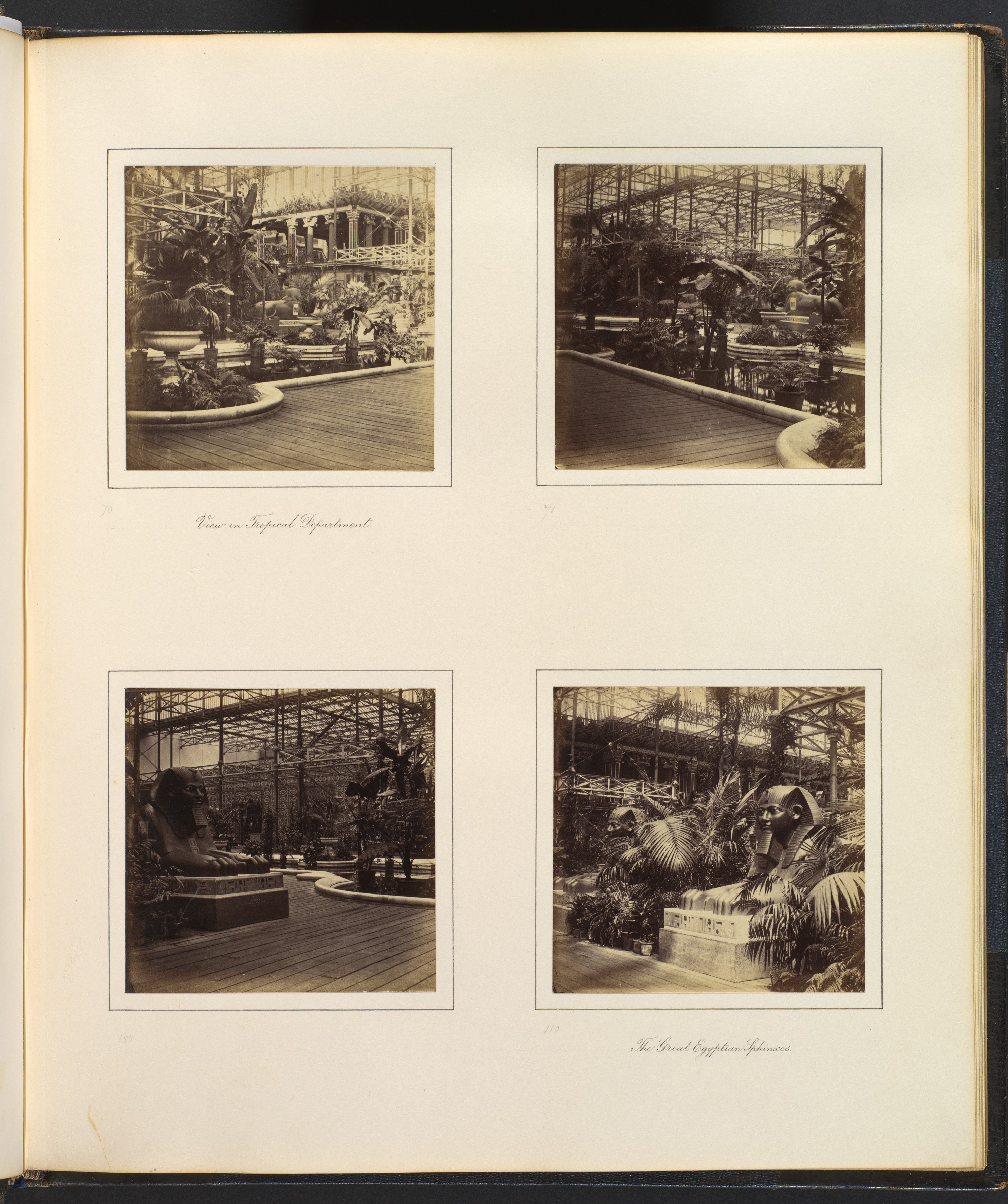 19th Century Exhibition Photo Album Page