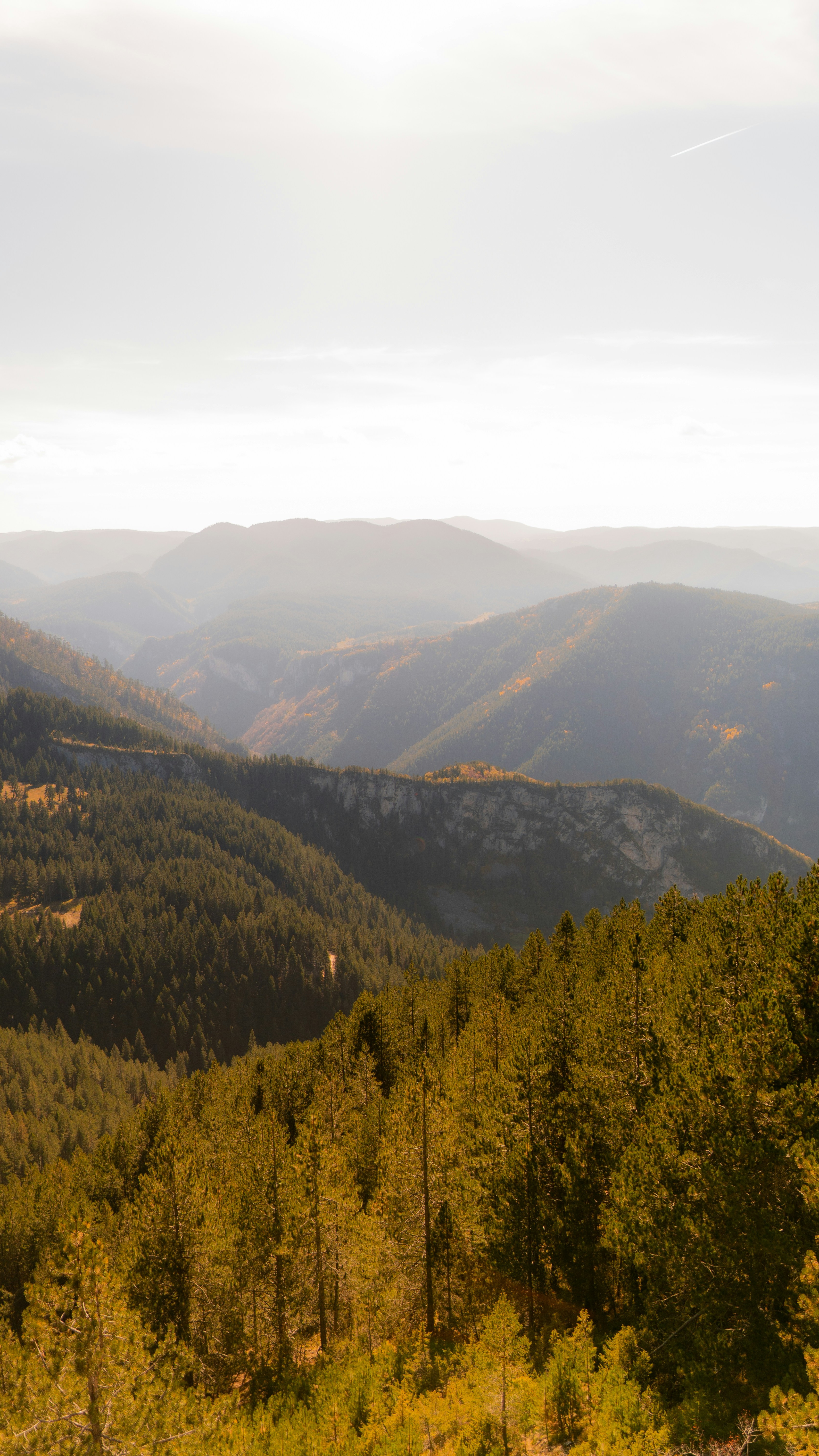 Landscapes